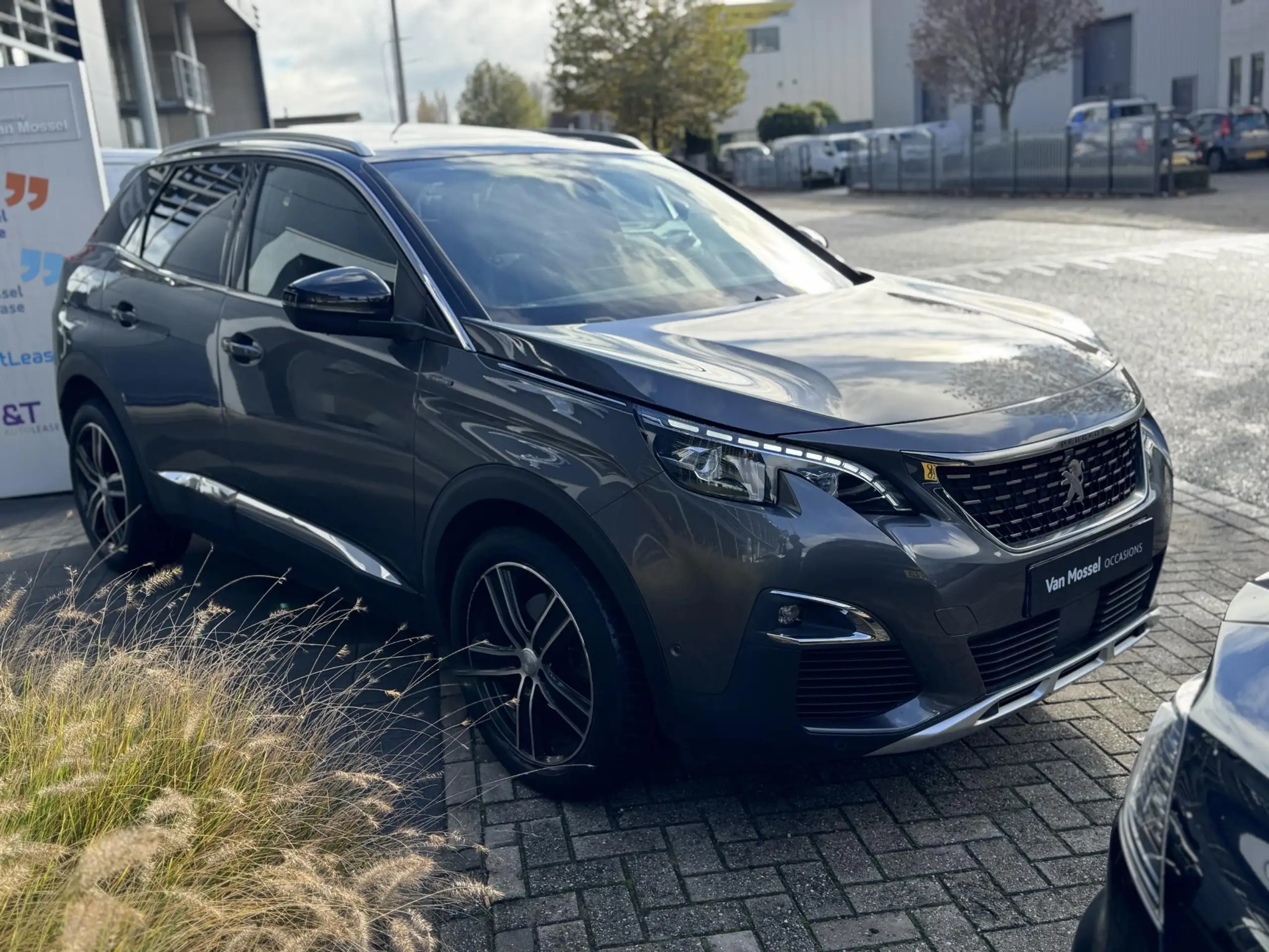 Peugeot - 3008