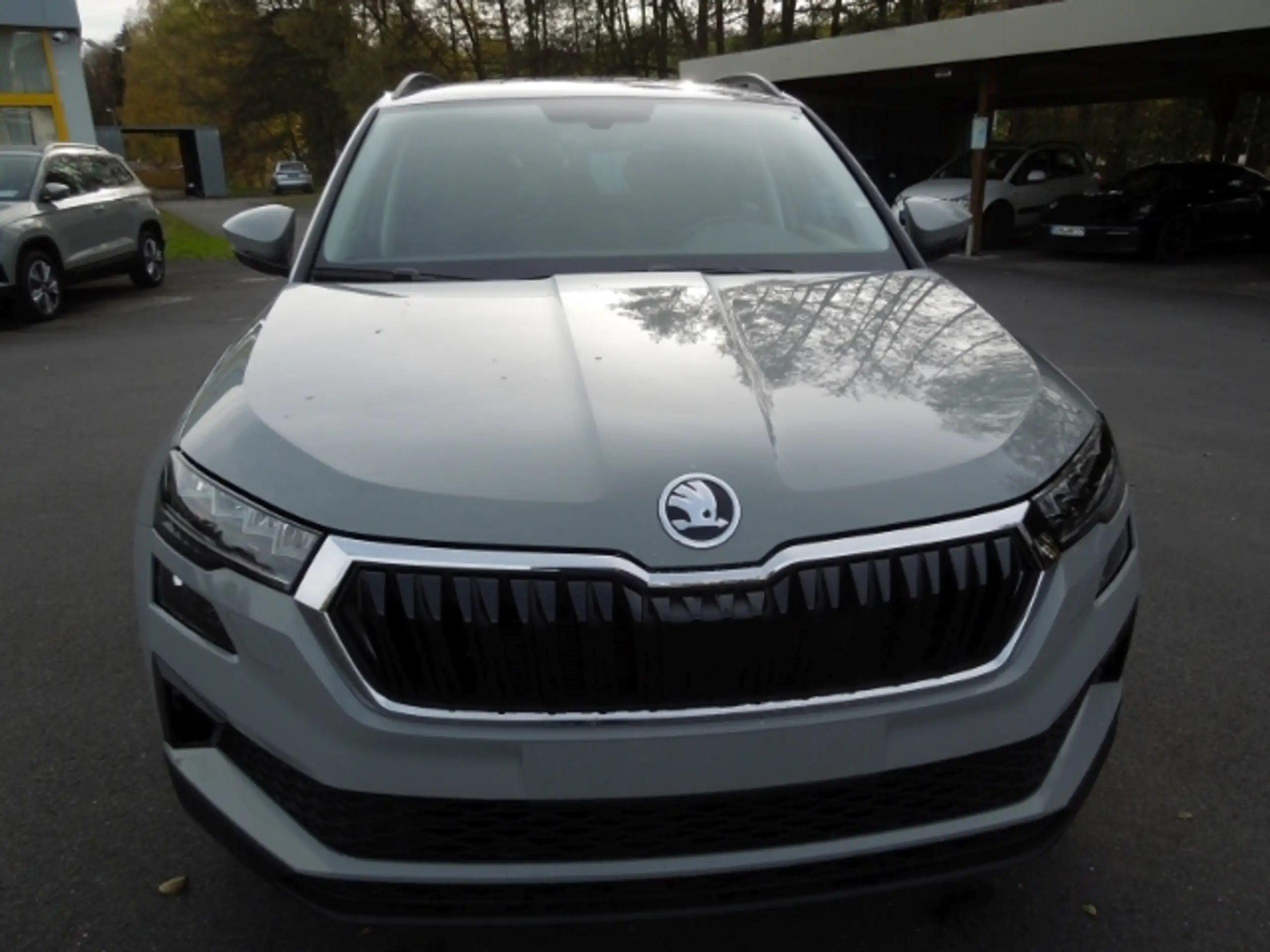 Skoda - Karoq