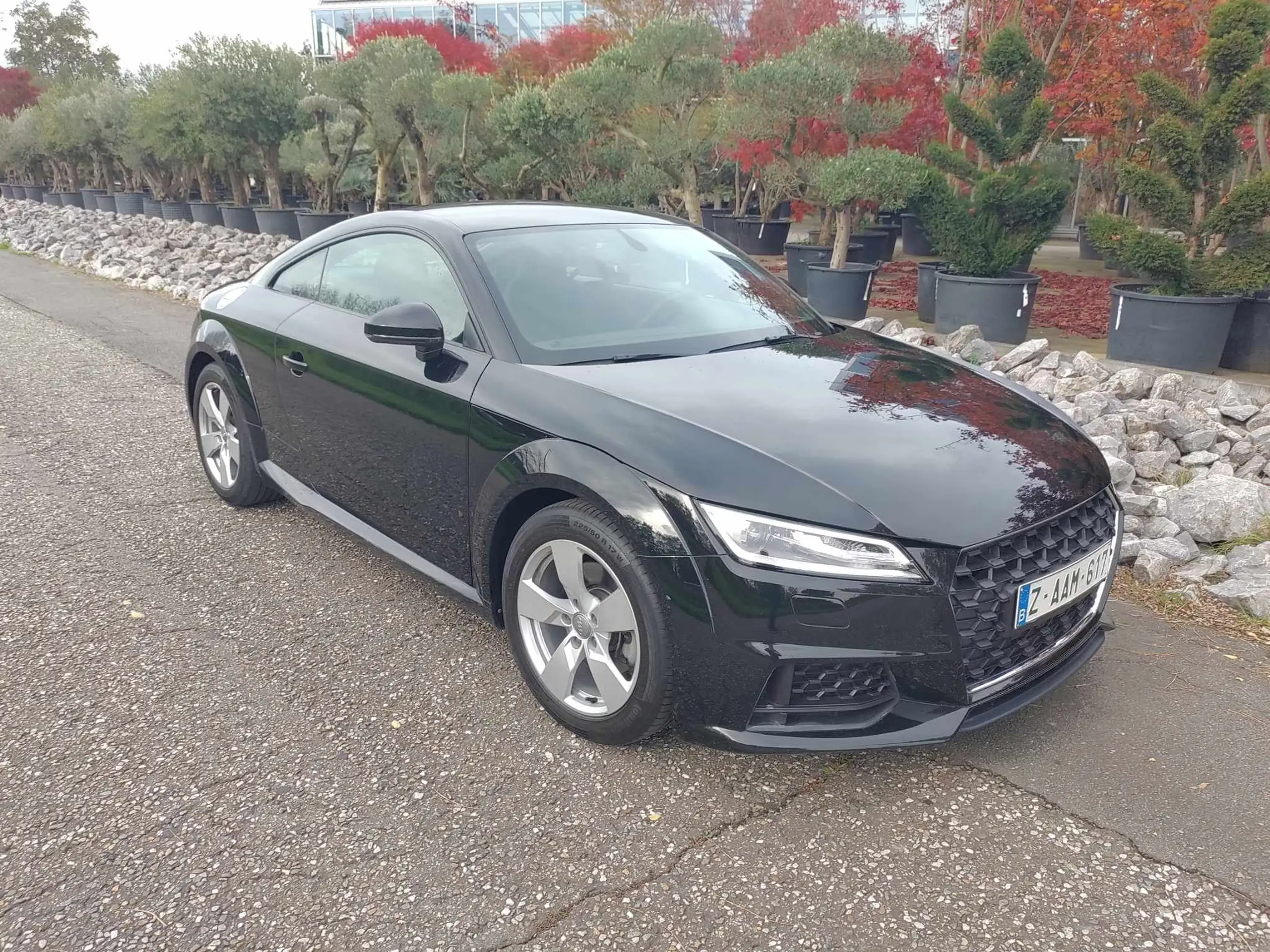 Audi - TT