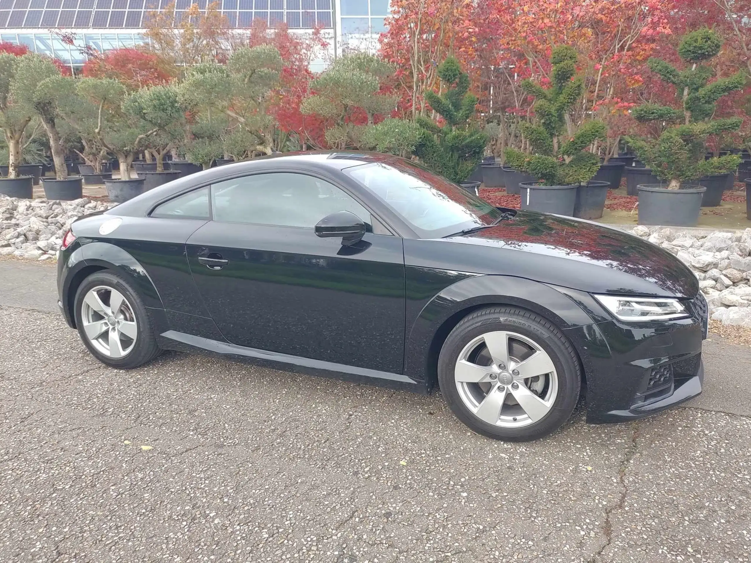 Audi - TT