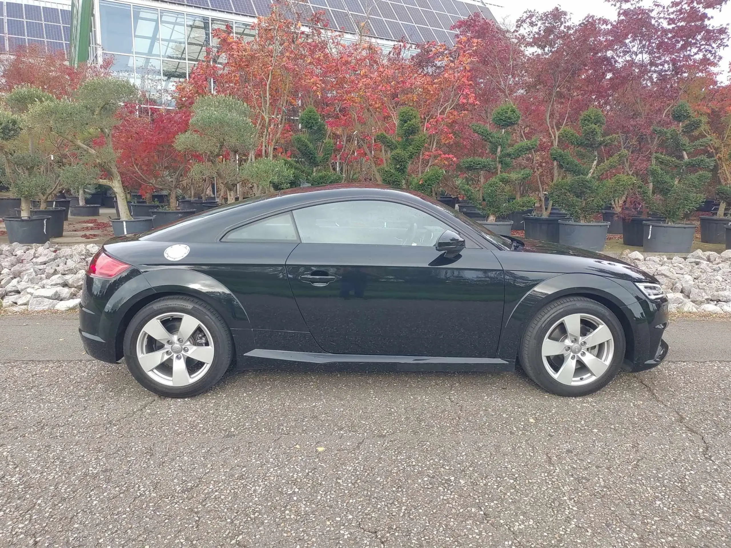 Audi - TT