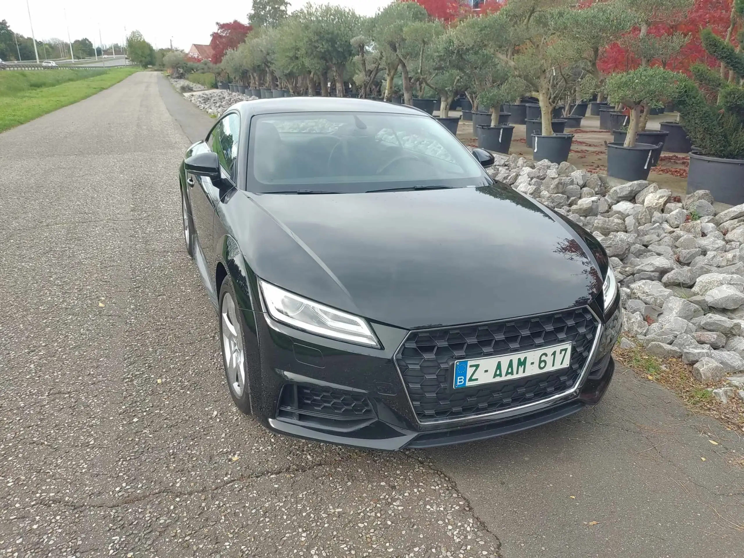 Audi - TT