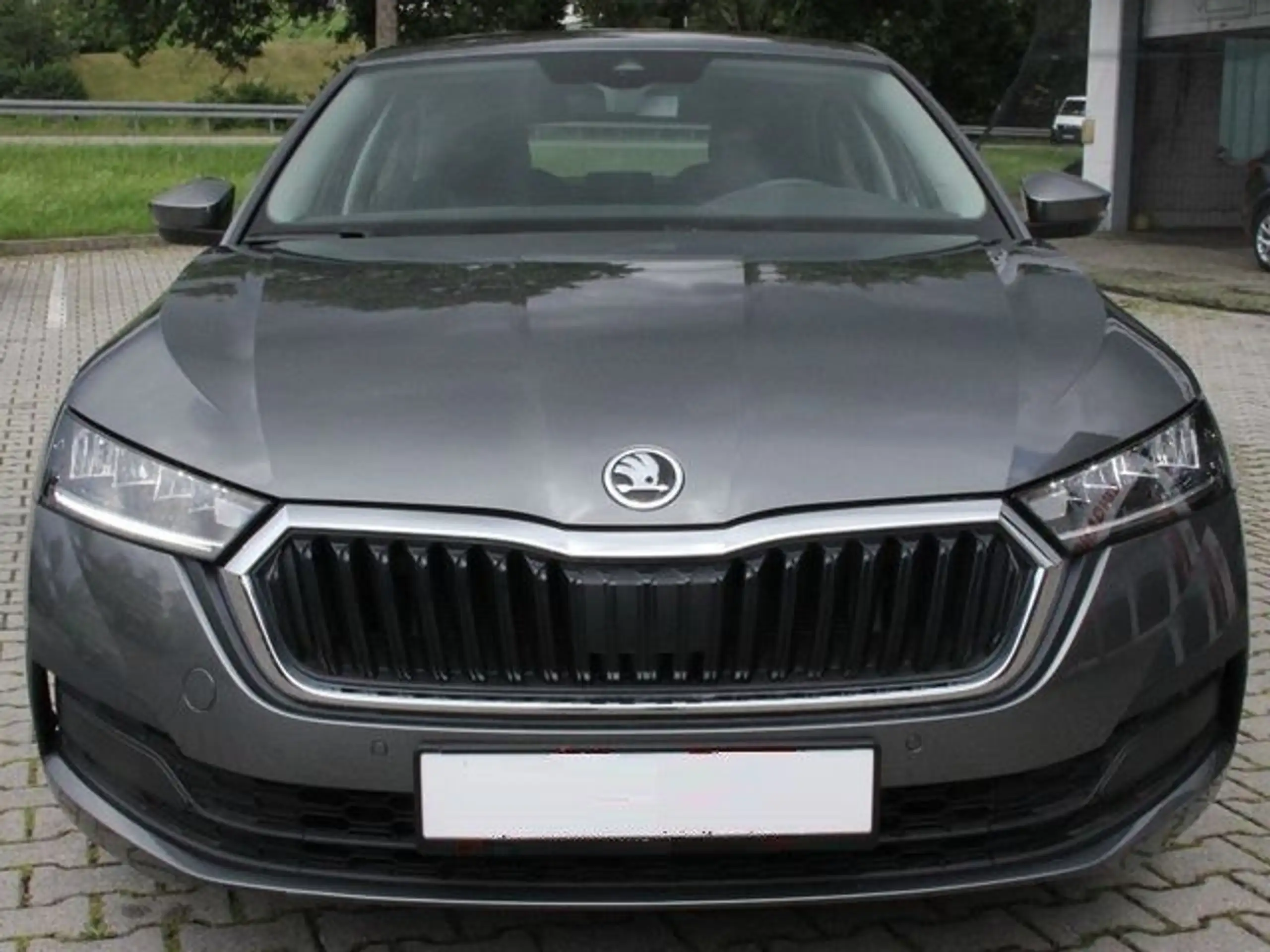 Skoda - Octavia