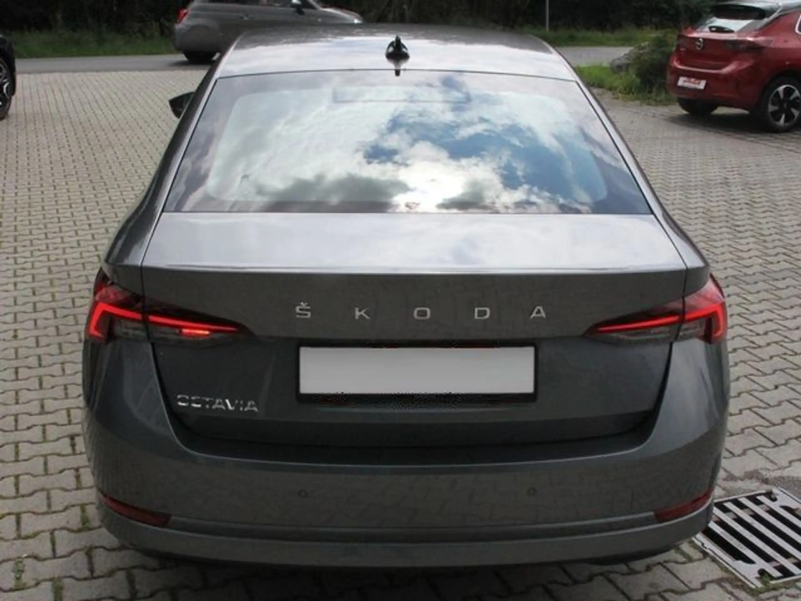 Skoda - Octavia