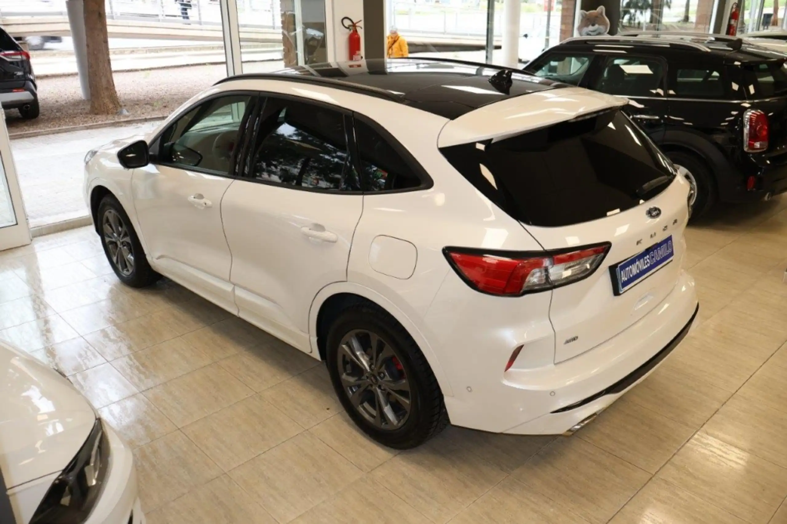 Ford - Kuga