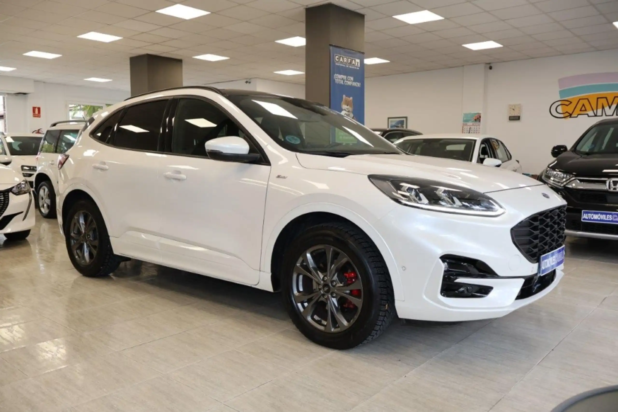 Ford - Kuga