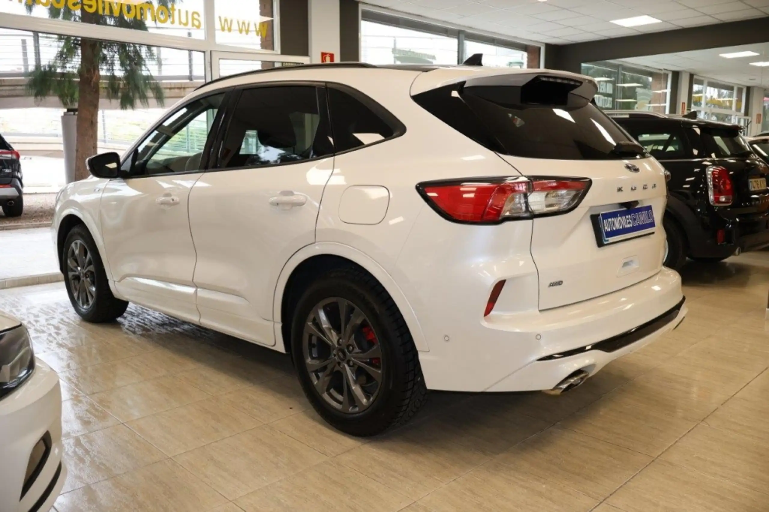 Ford - Kuga