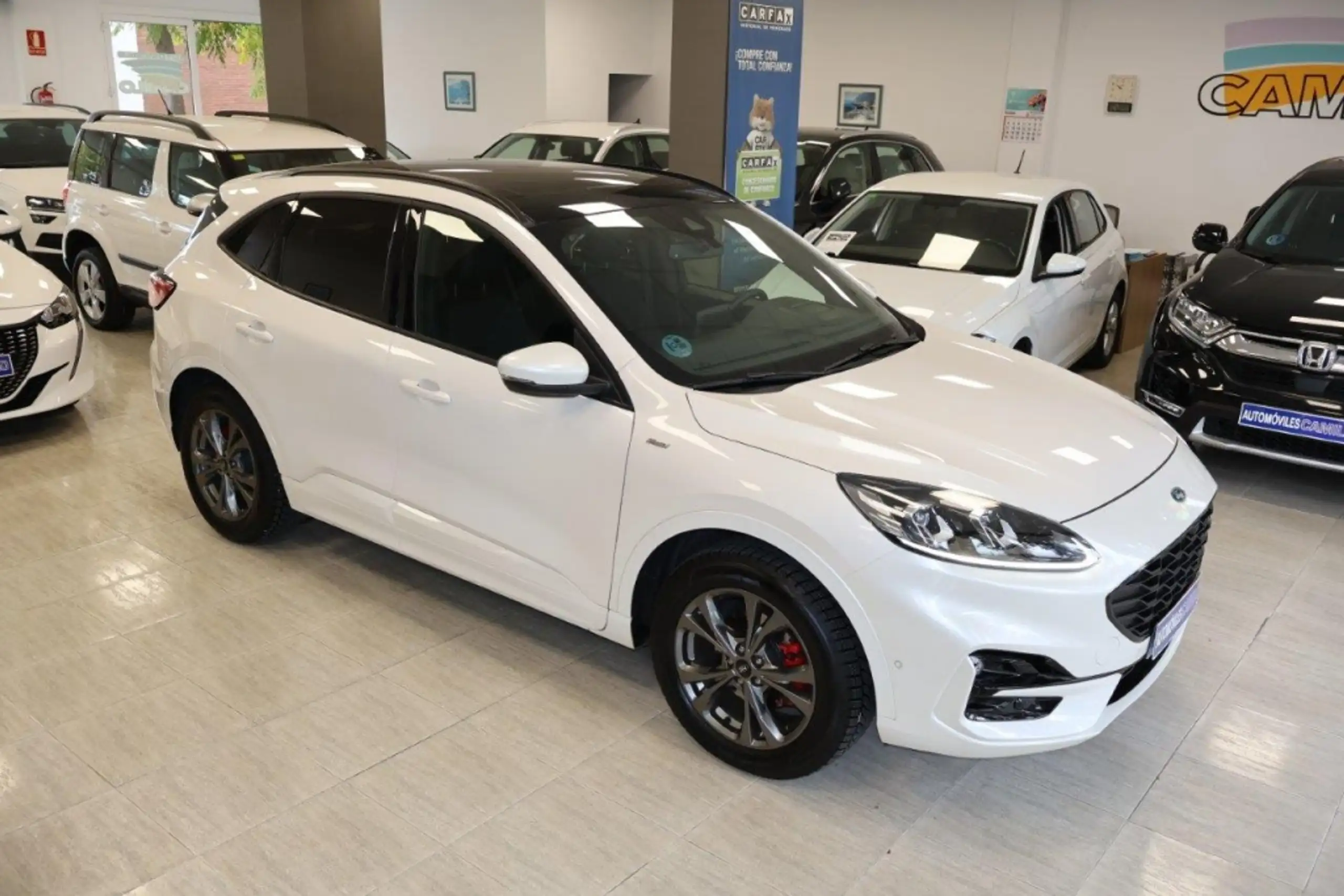 Ford - Kuga