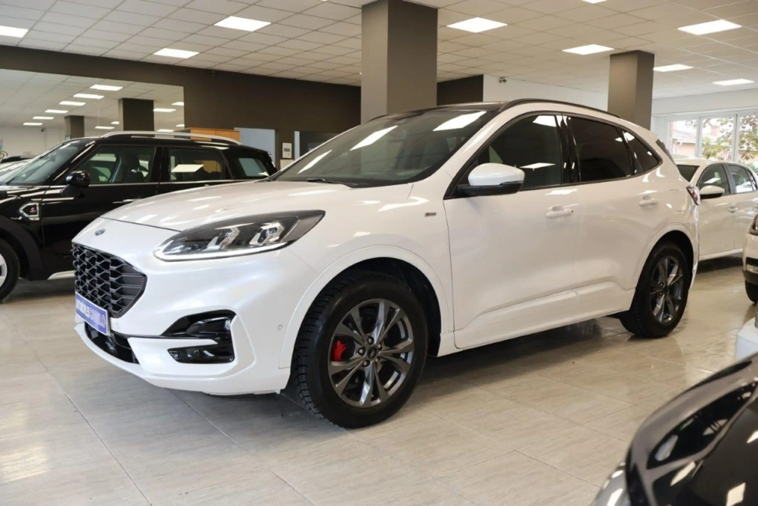 Ford - Kuga