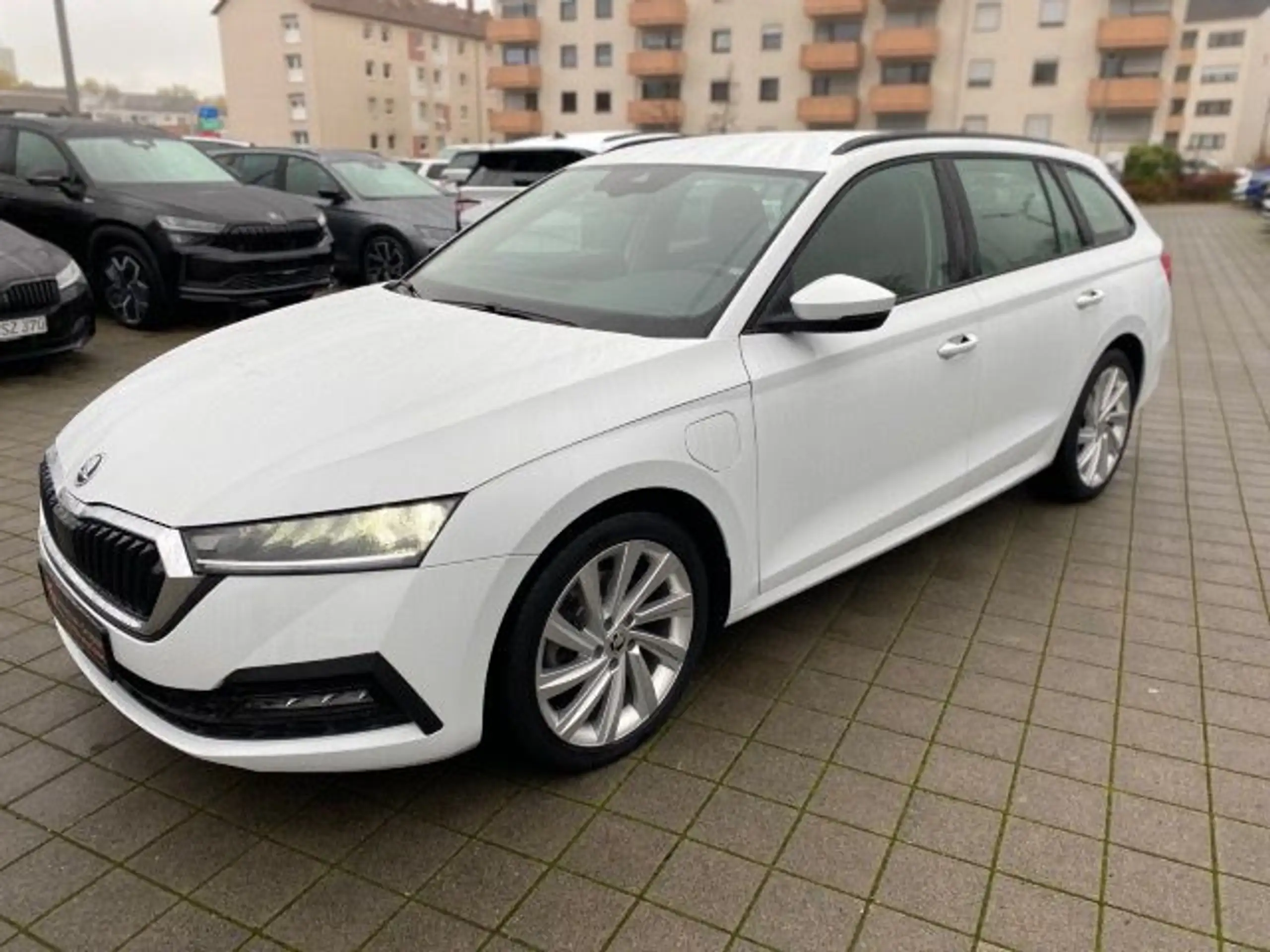 Skoda - Octavia