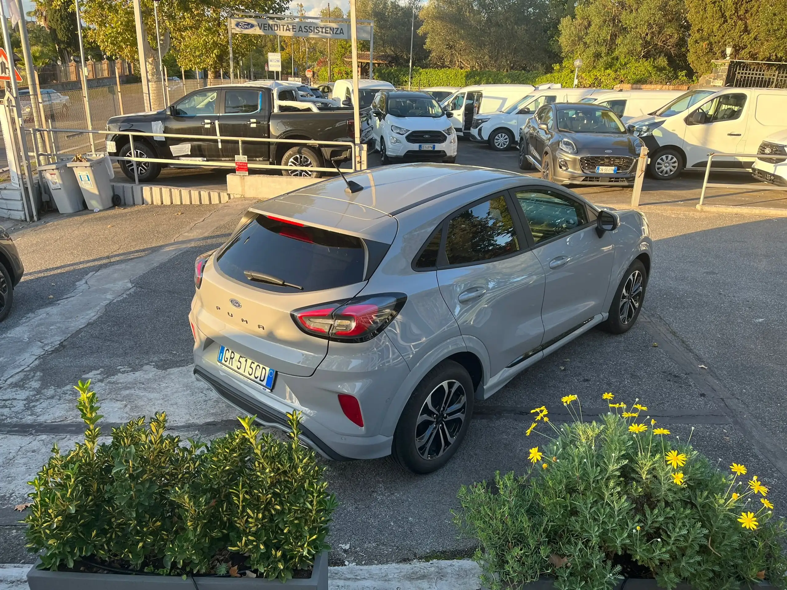 Ford - Puma