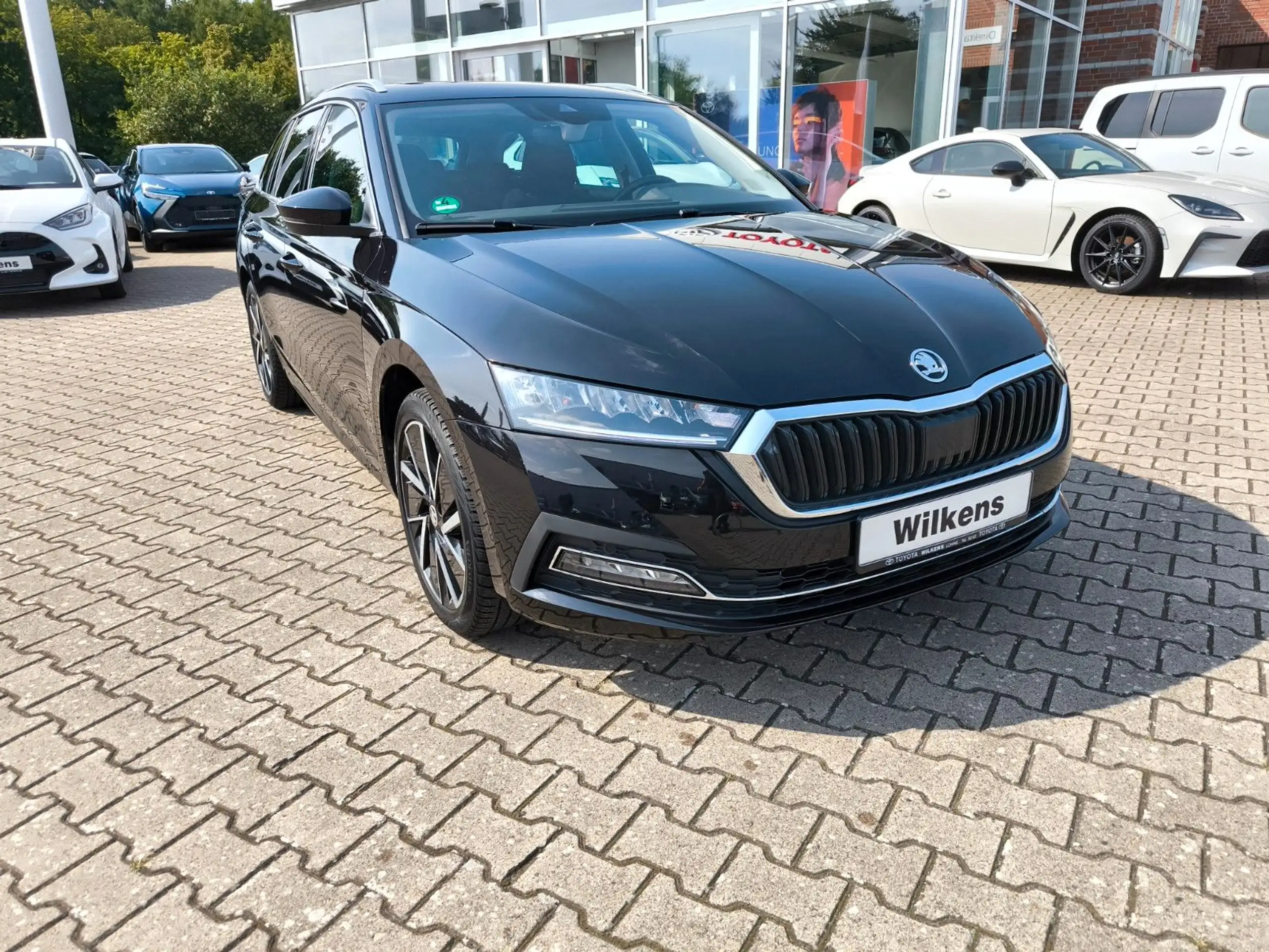 Skoda - Octavia