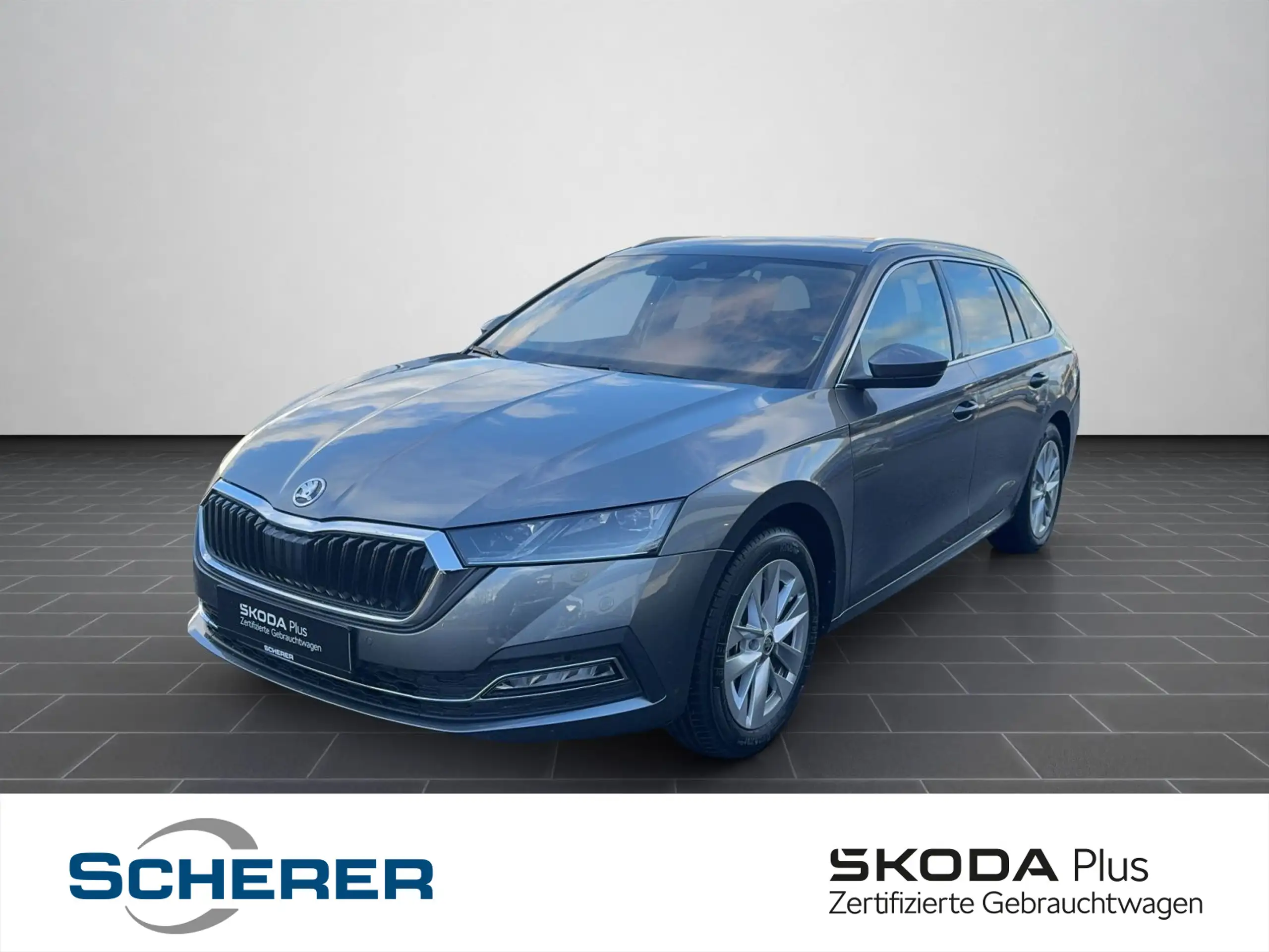 Skoda - Octavia