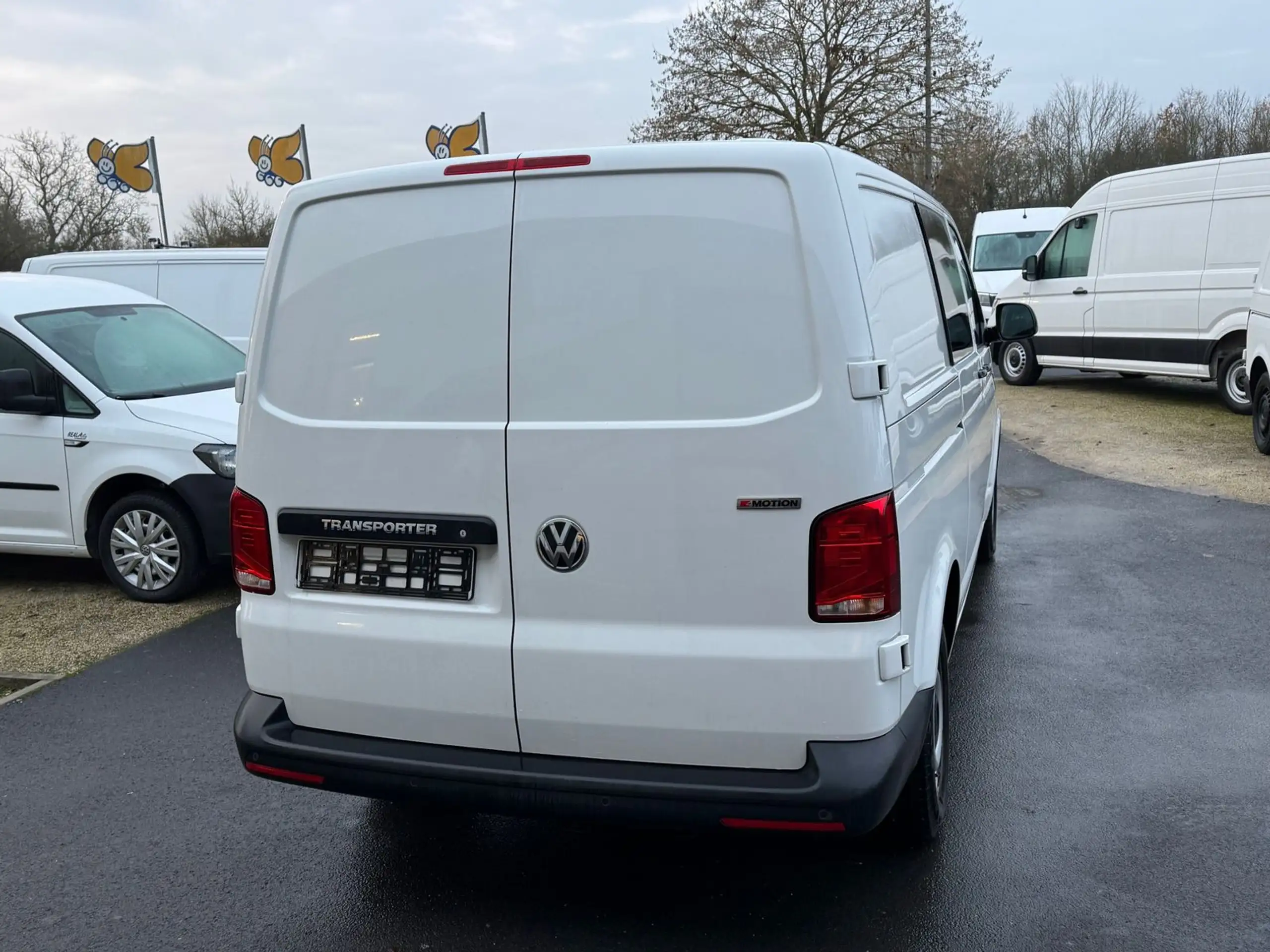 Volkswagen - T6 Transporter