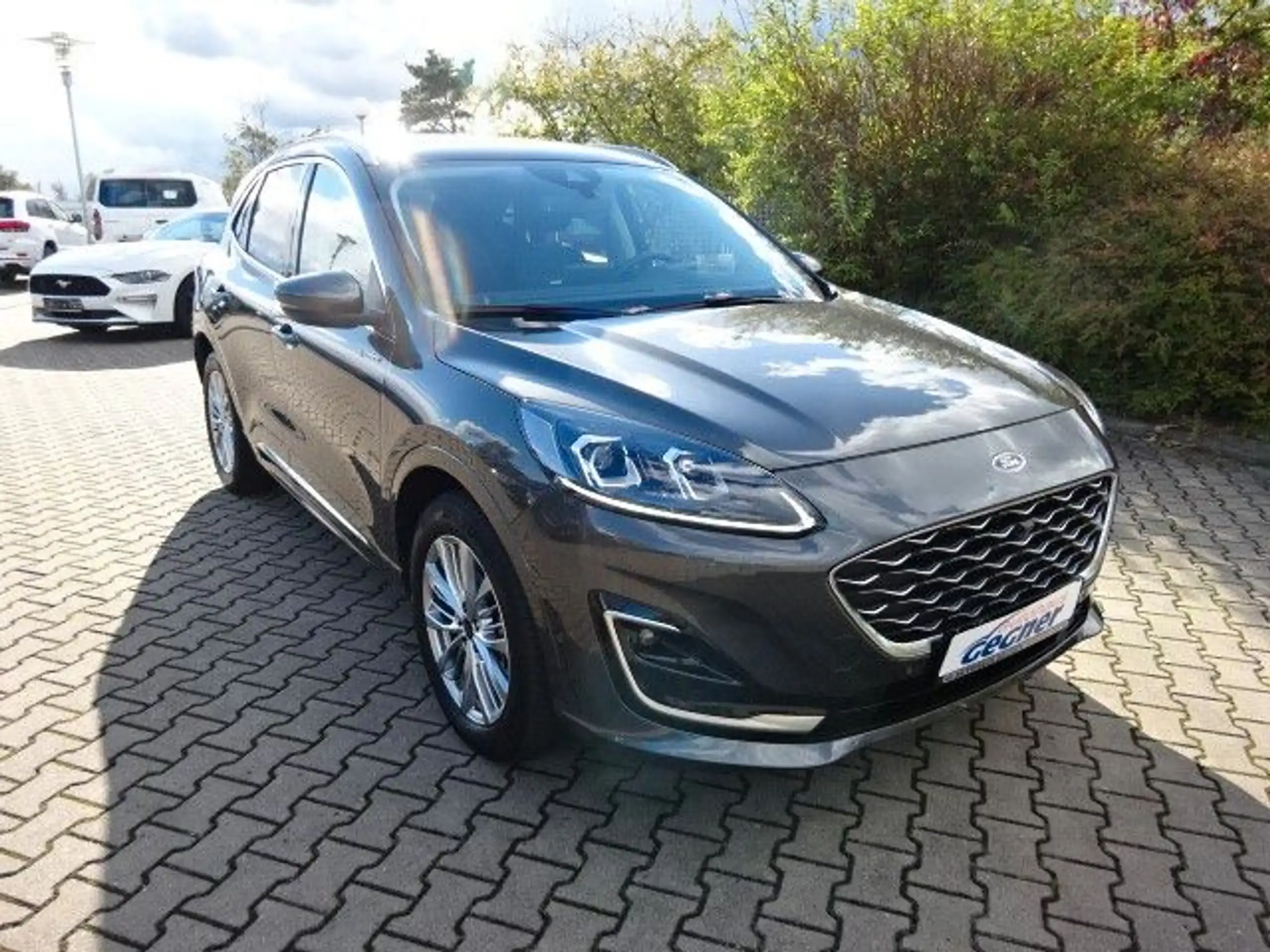 Ford - Kuga