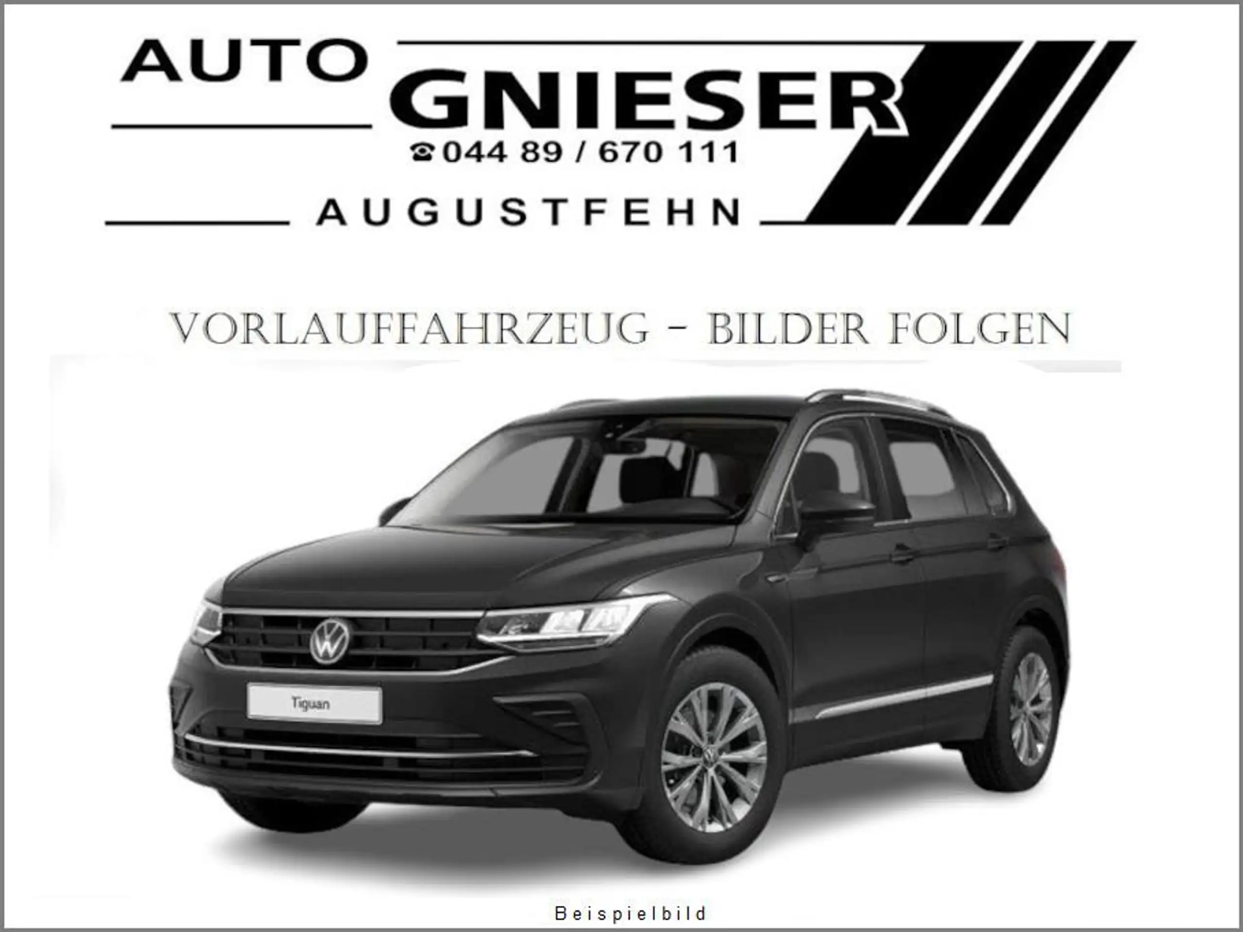 Volkswagen - Tiguan