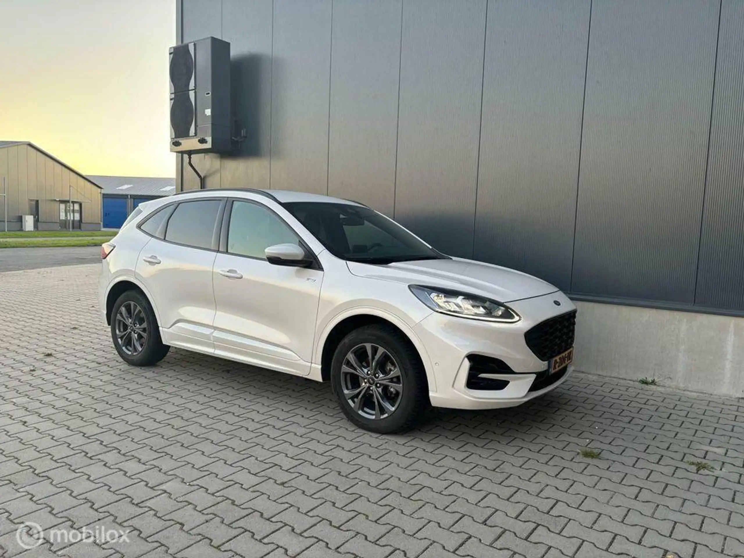 Ford - Kuga