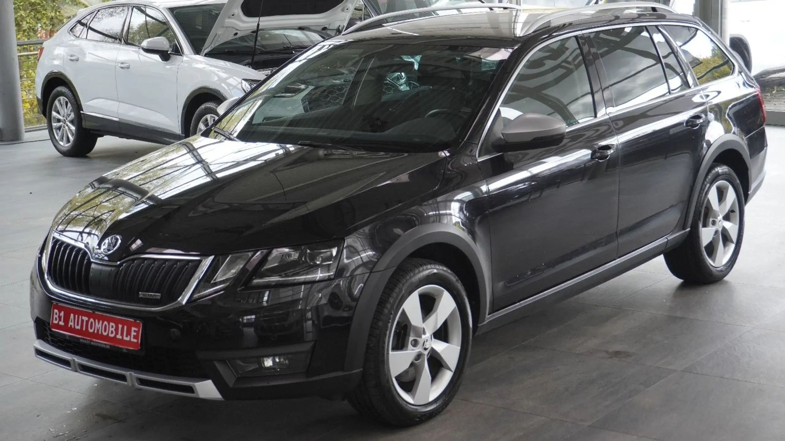 Skoda - Octavia