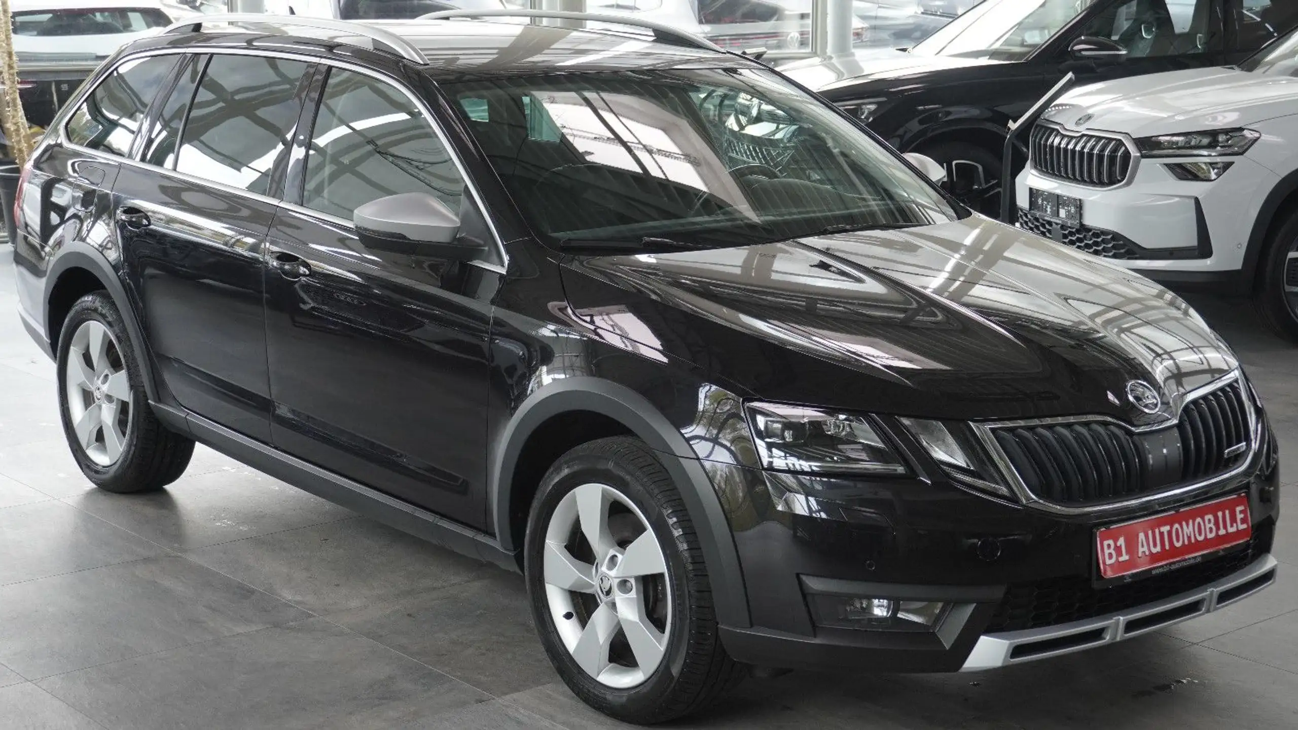 Skoda - Octavia