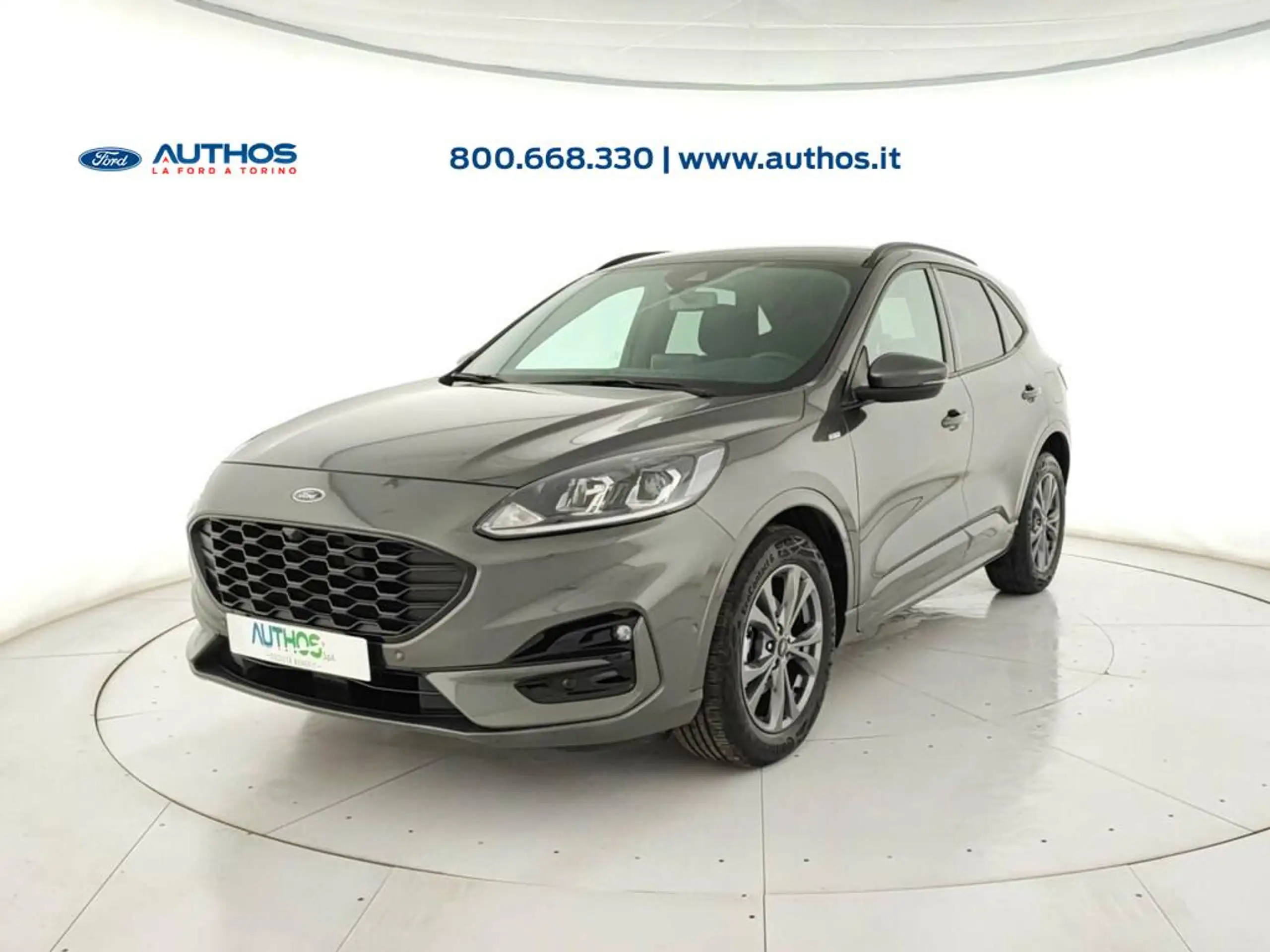 Ford - Kuga