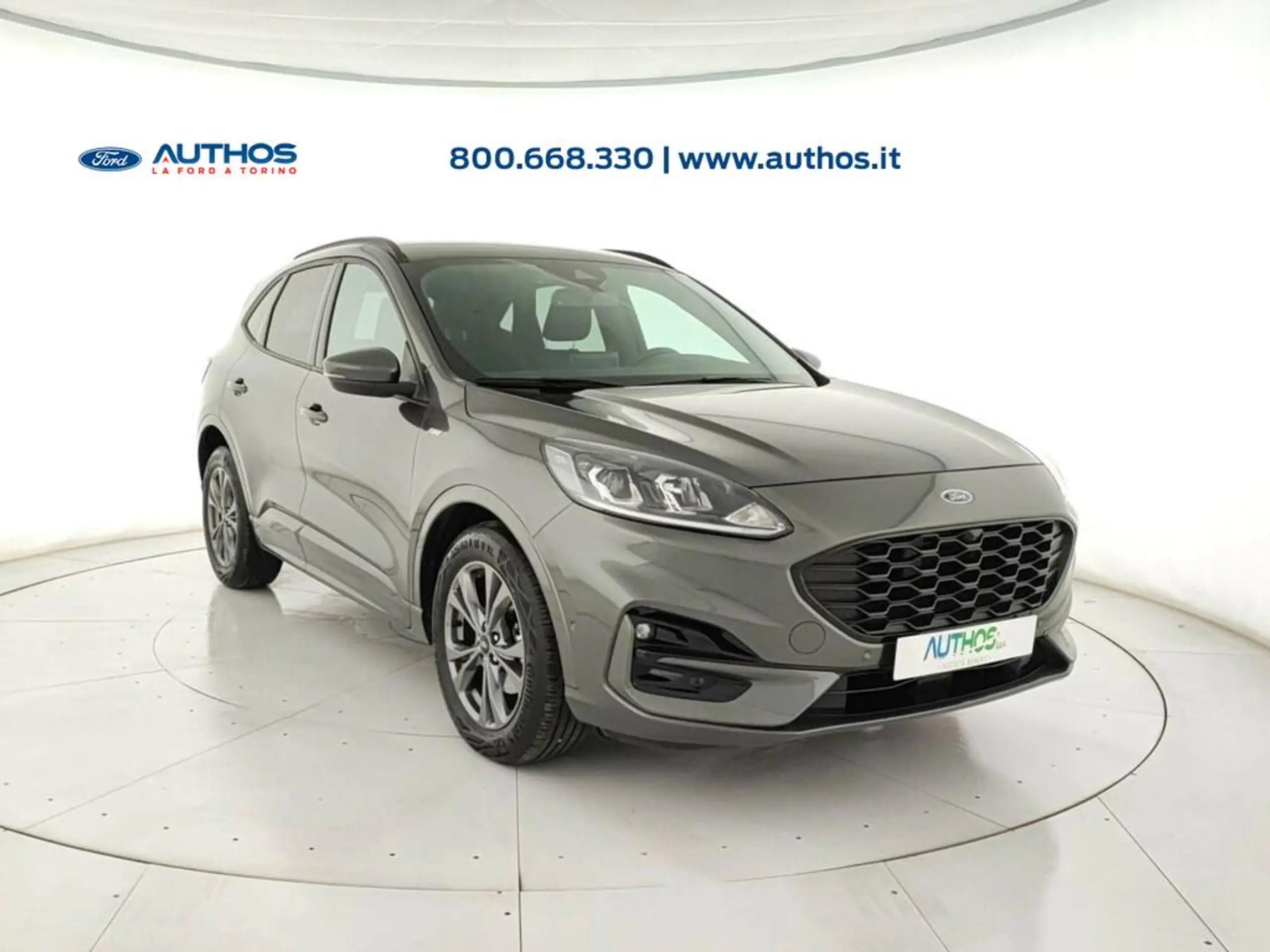 Ford - Kuga