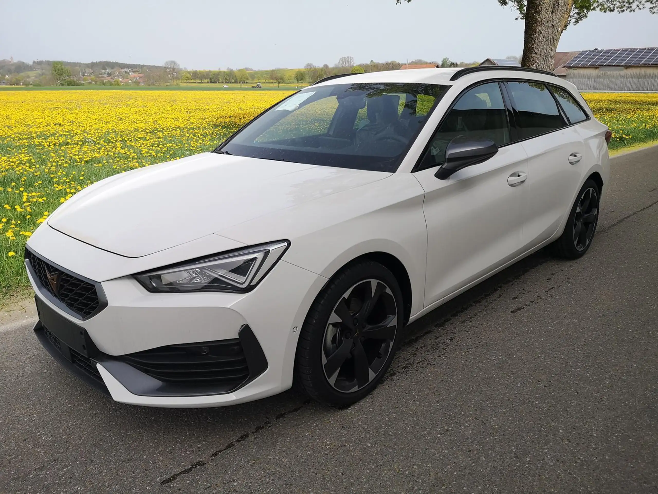 CUPRA Leon 2024