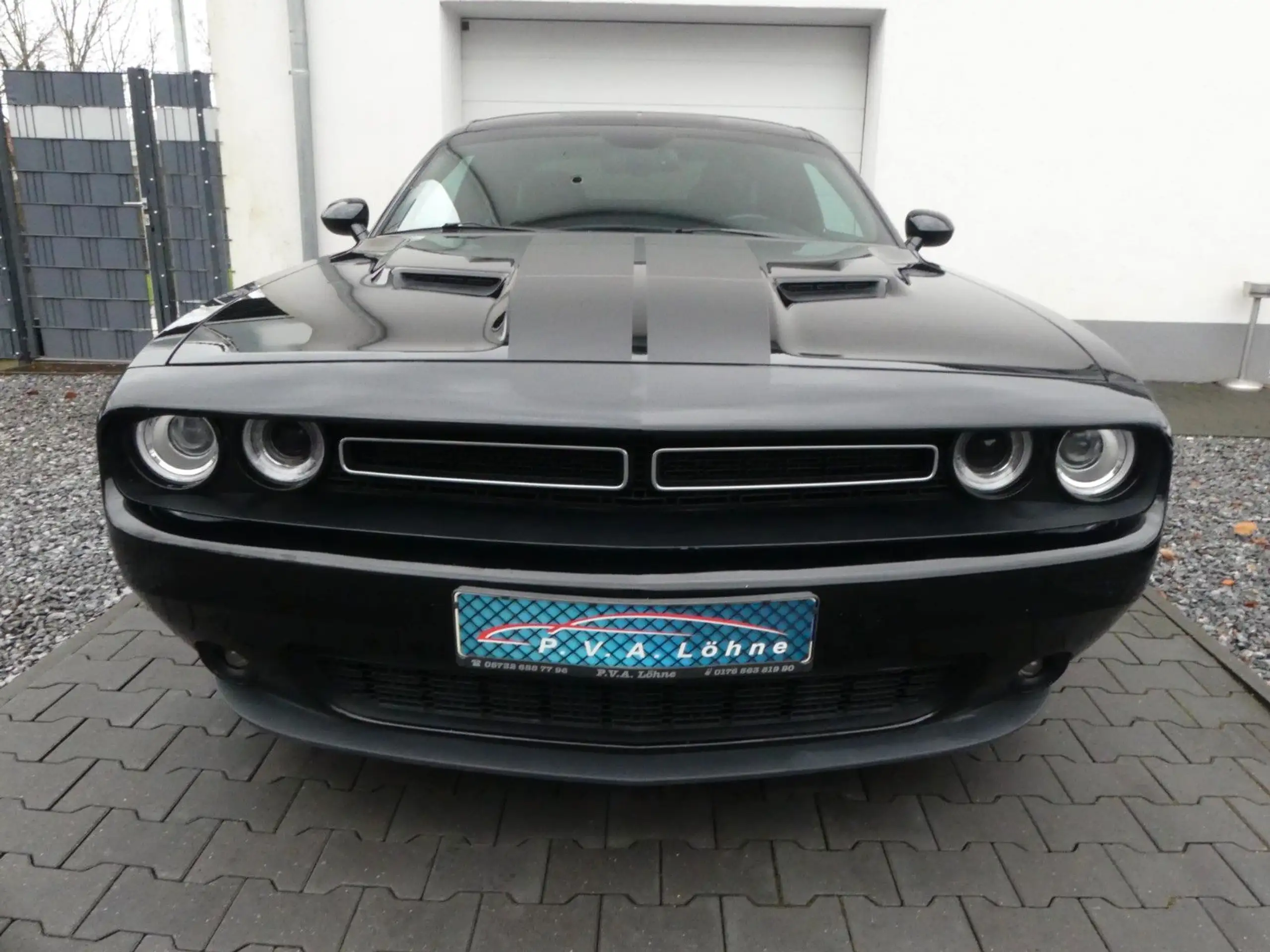 Dodge - Challenger