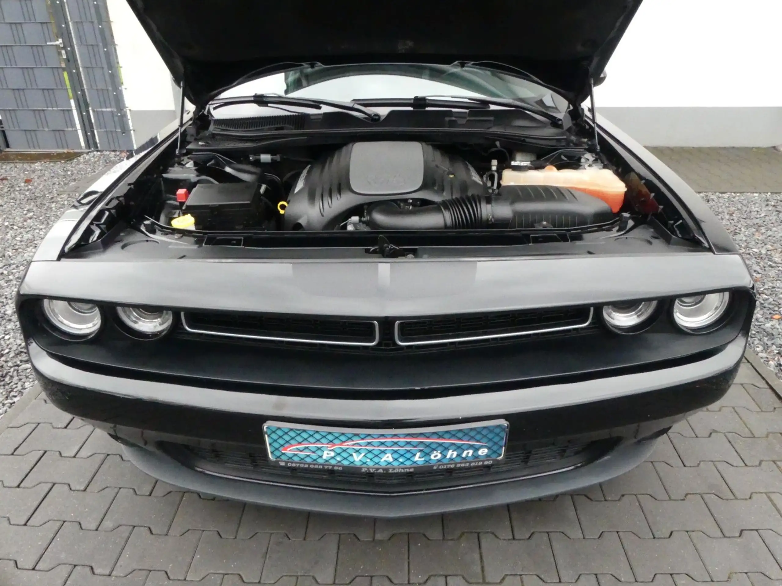 Dodge - Challenger