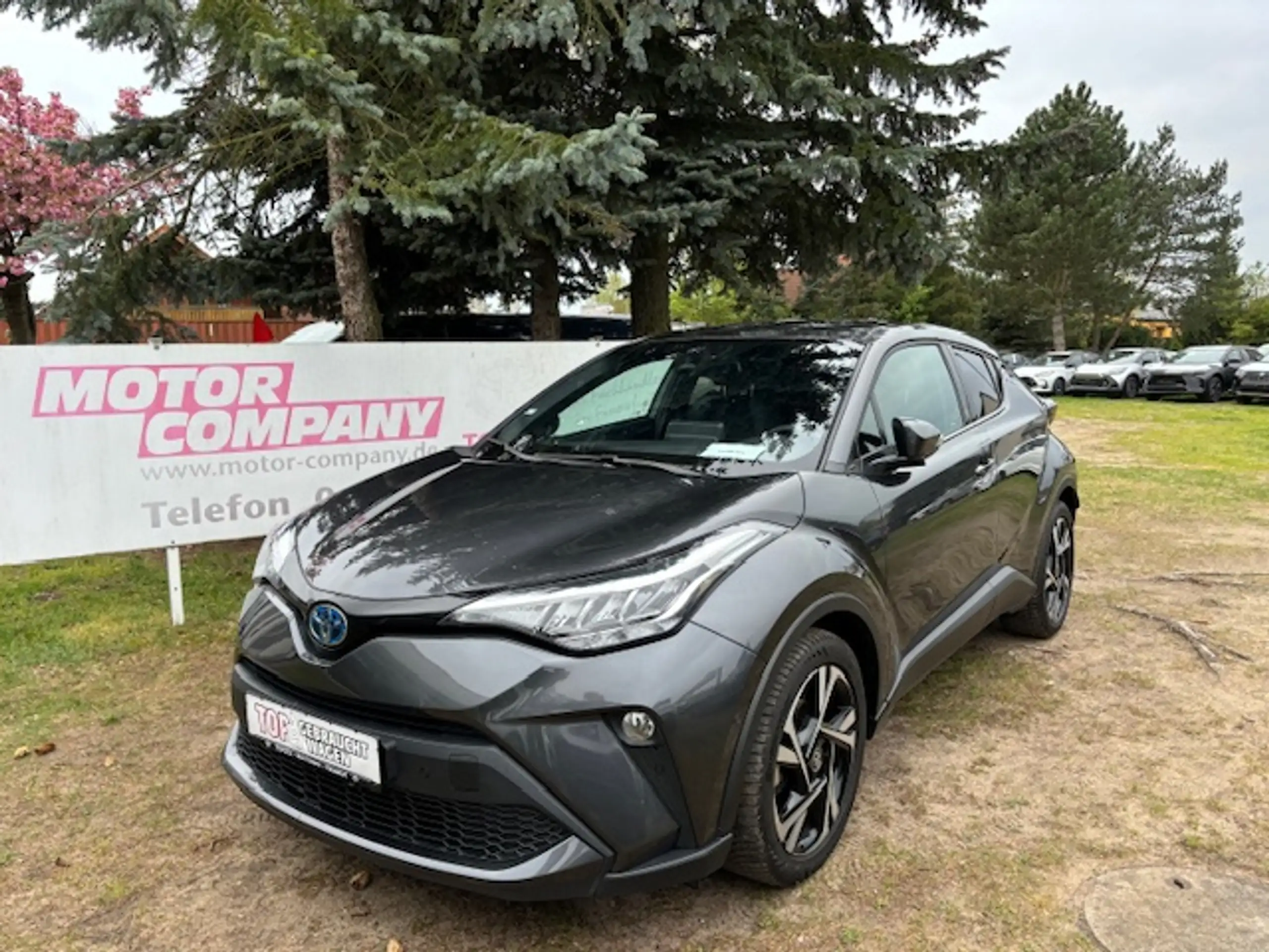 Toyota - C-HR