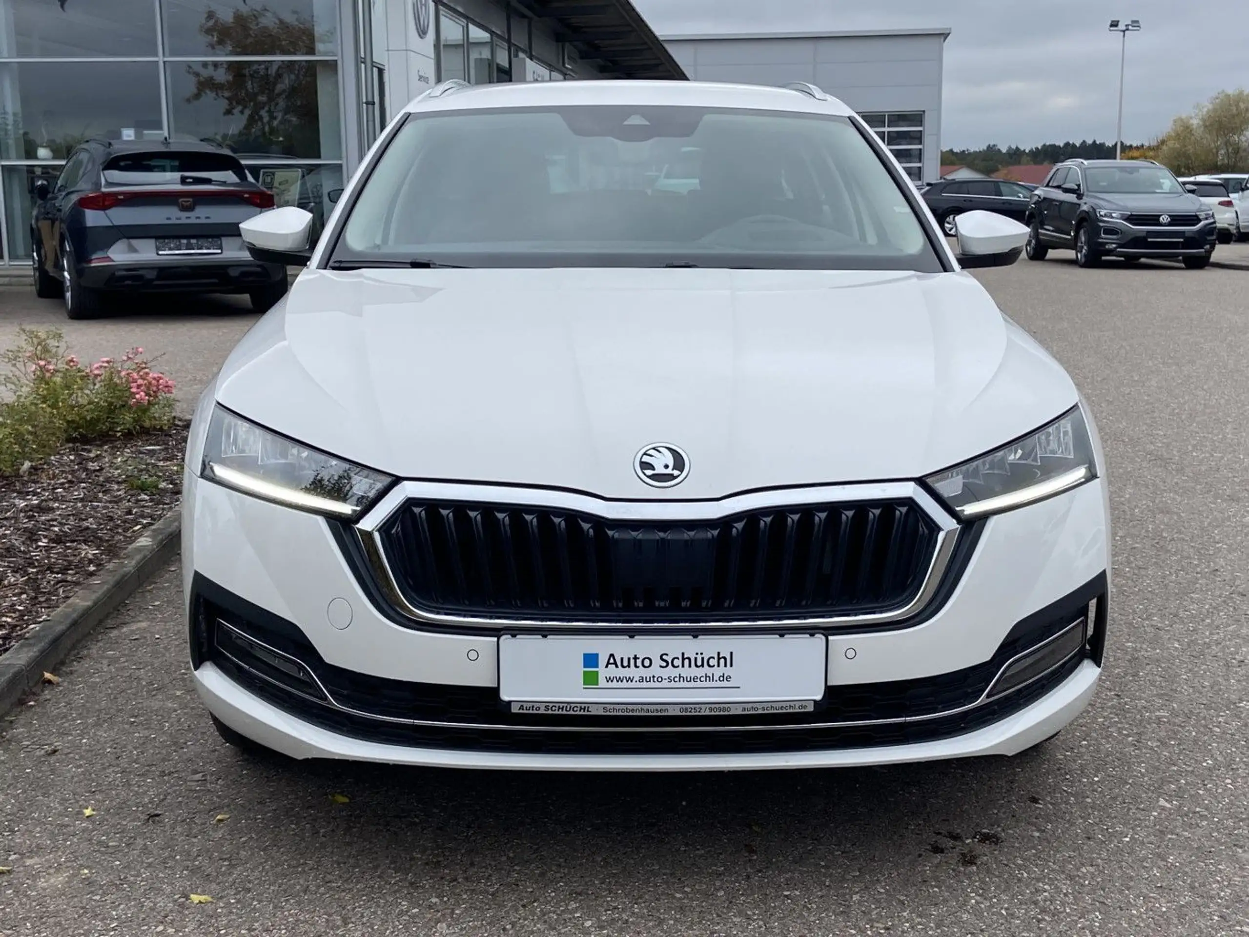 Skoda - Octavia