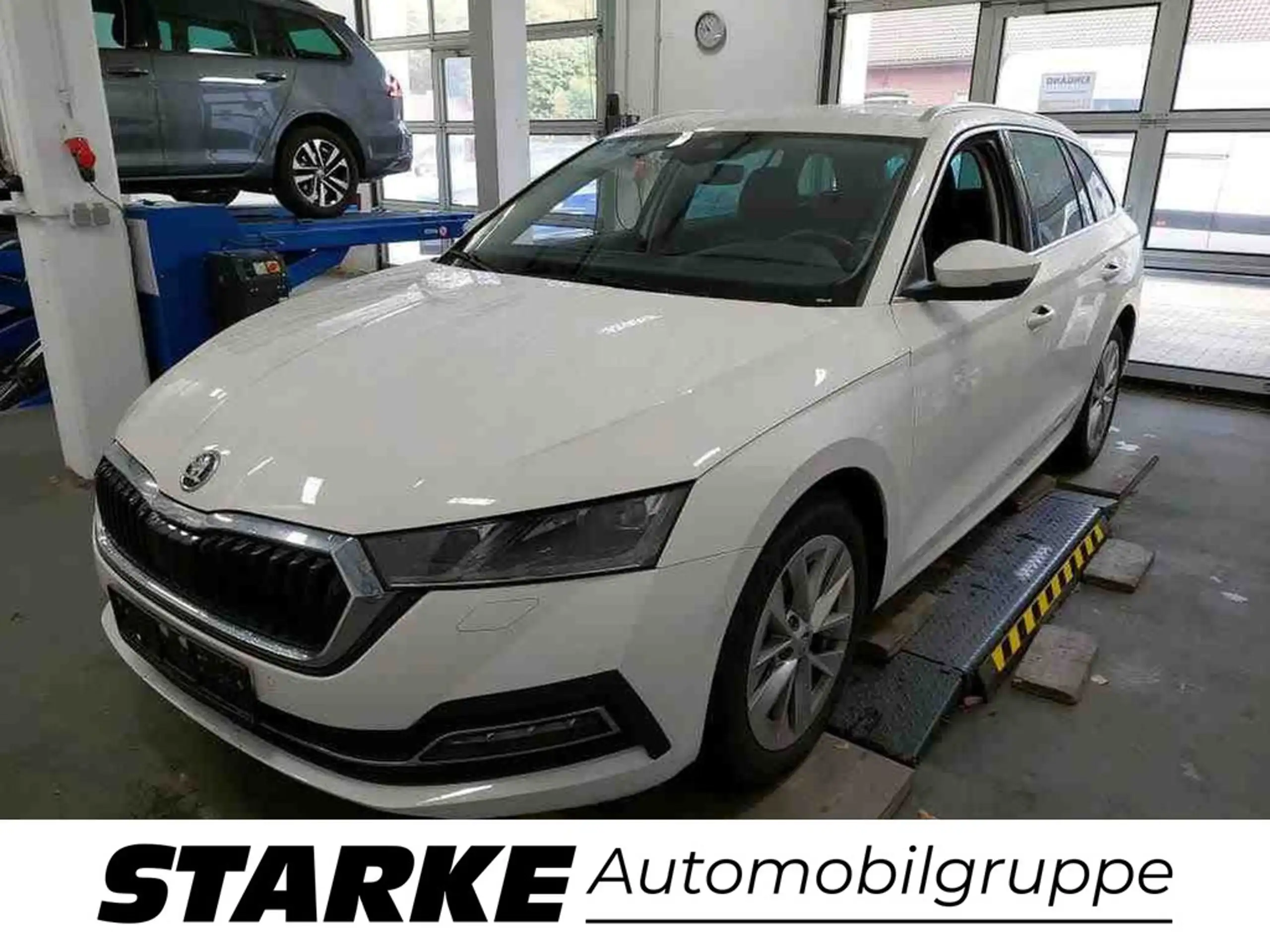 Skoda - Octavia