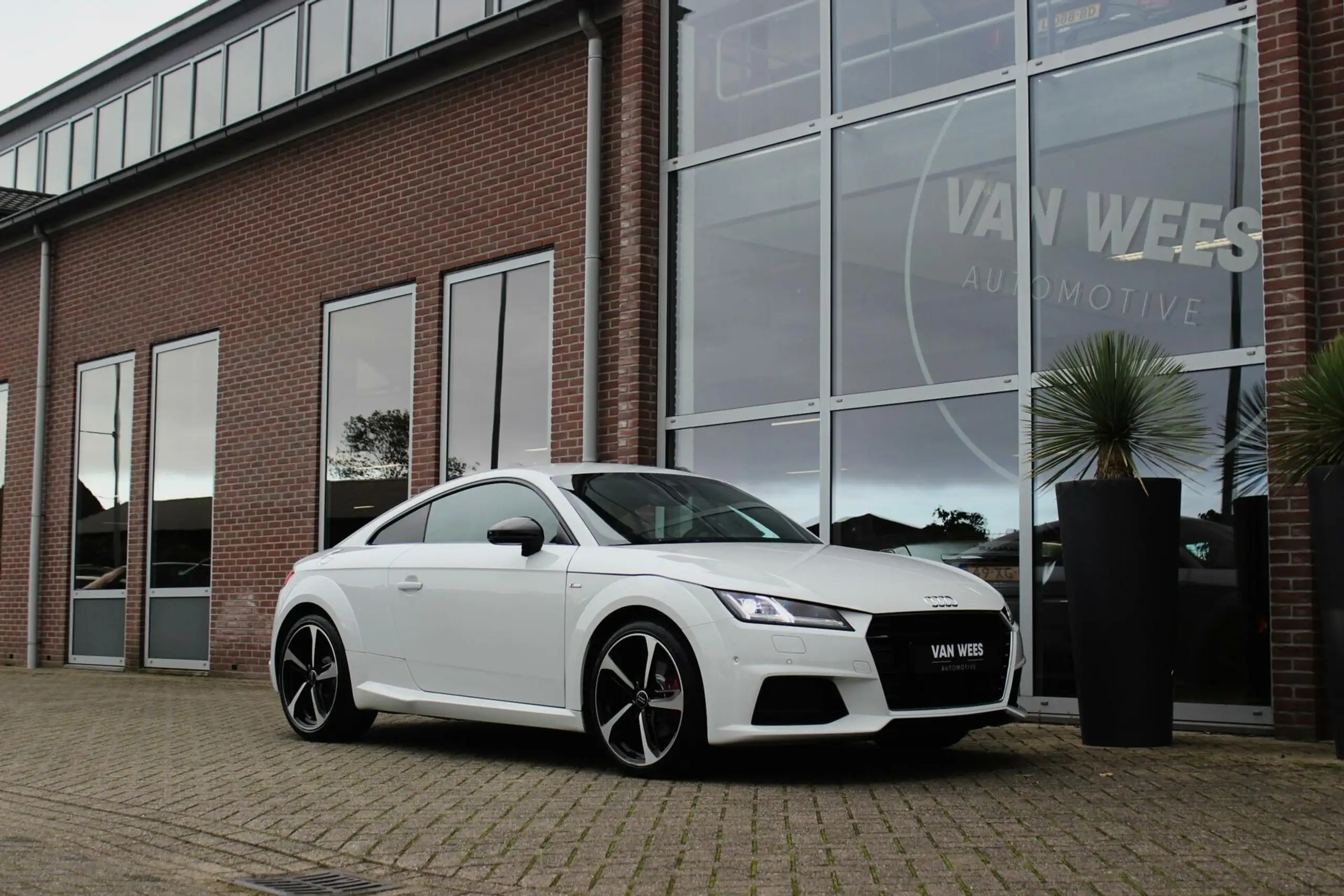 Audi - TT