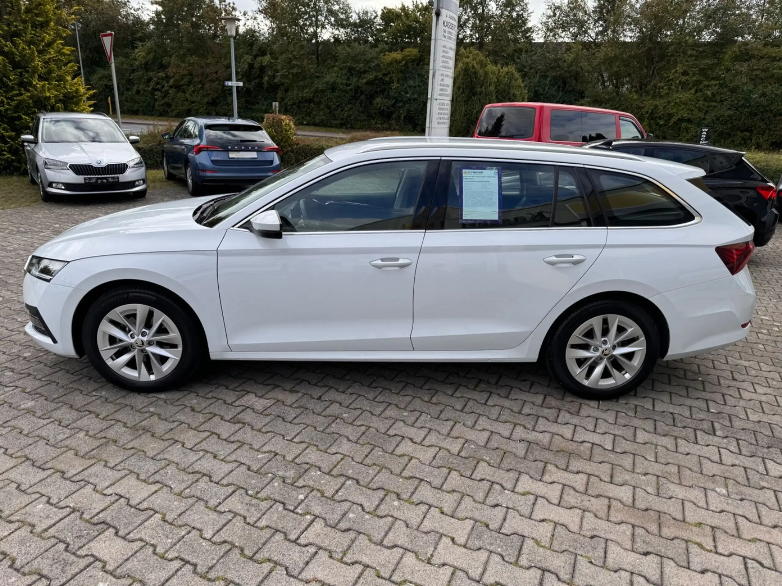 Skoda - Octavia