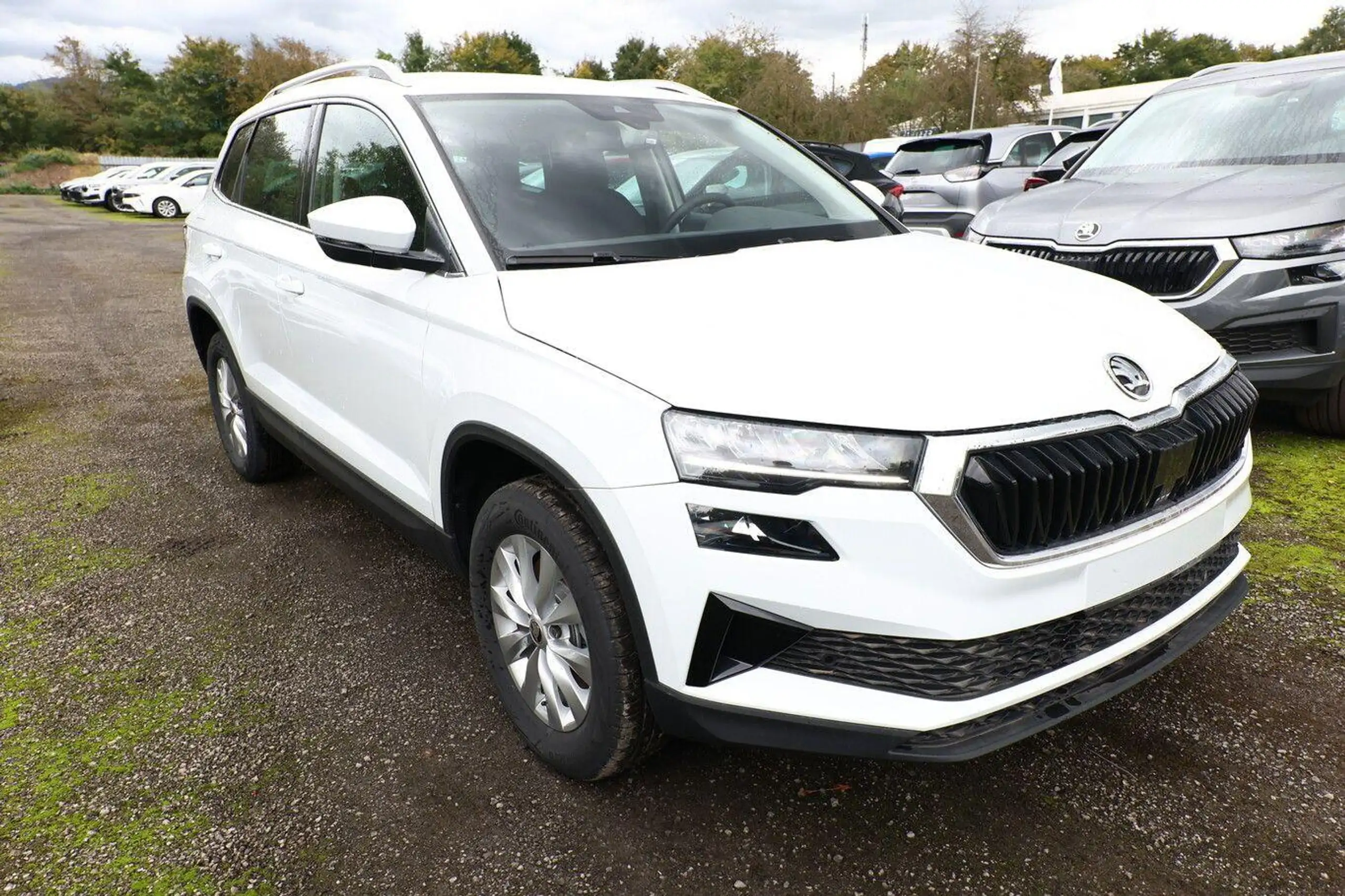 Skoda Karoq 2024