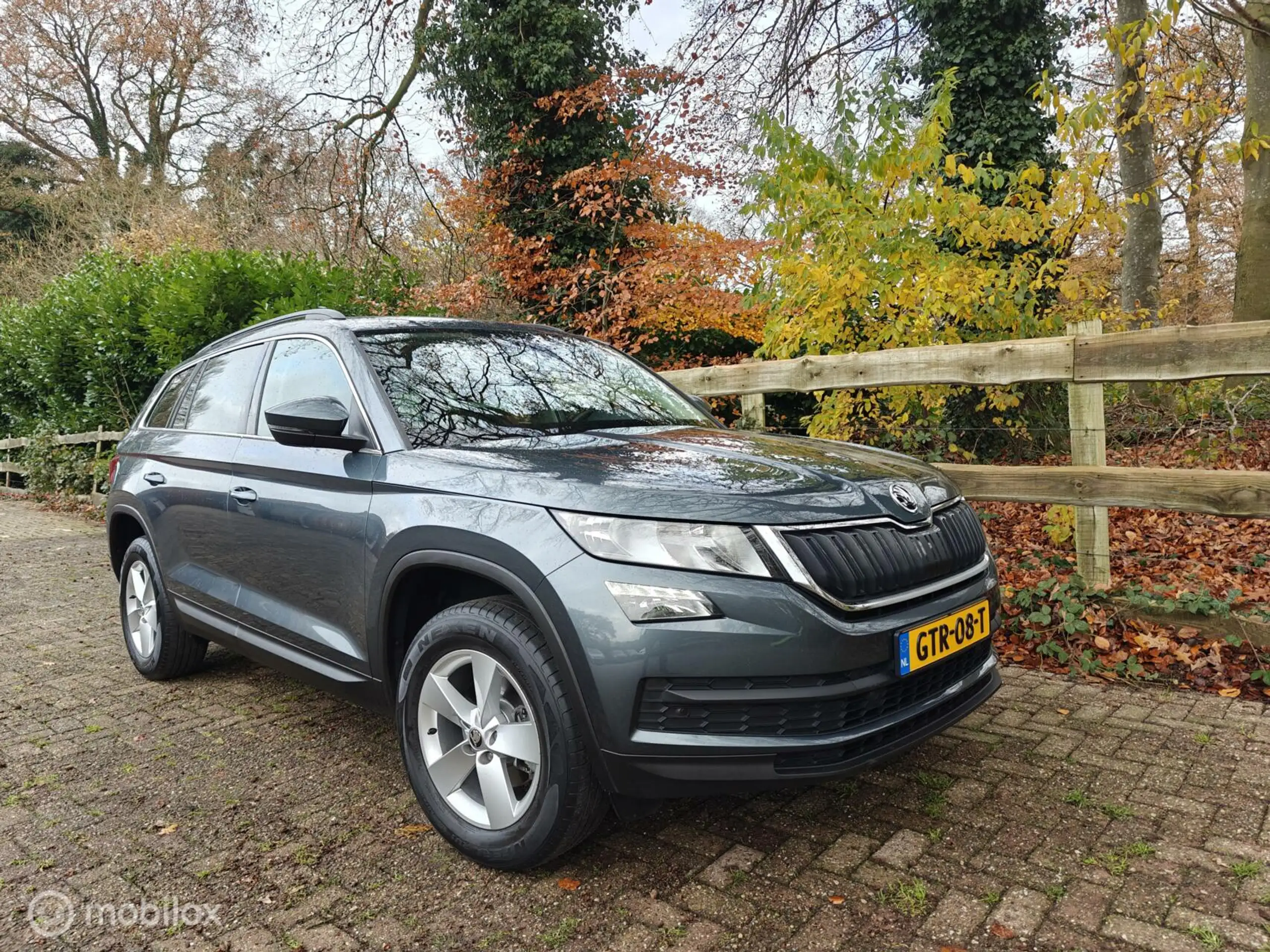 Skoda - Kodiaq