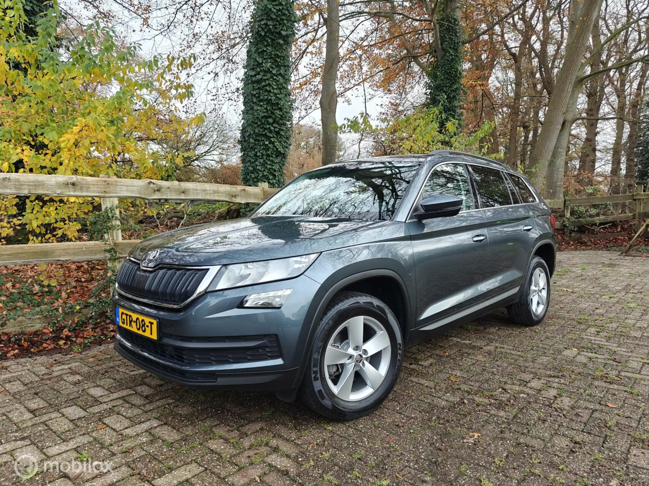 Skoda - Kodiaq