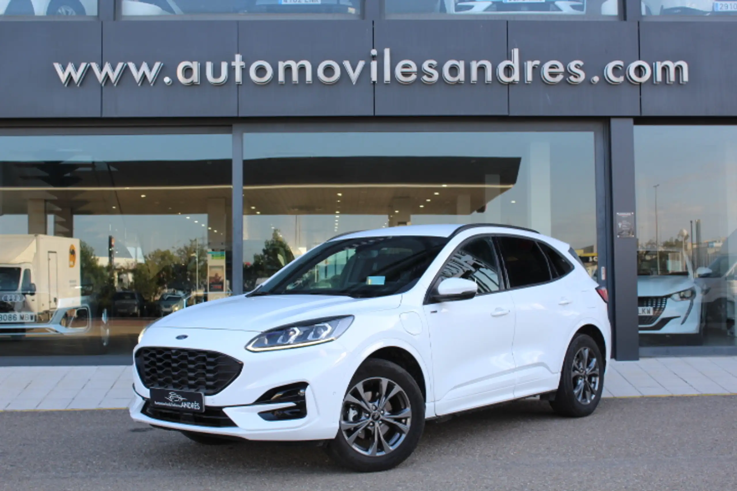 Ford - Kuga