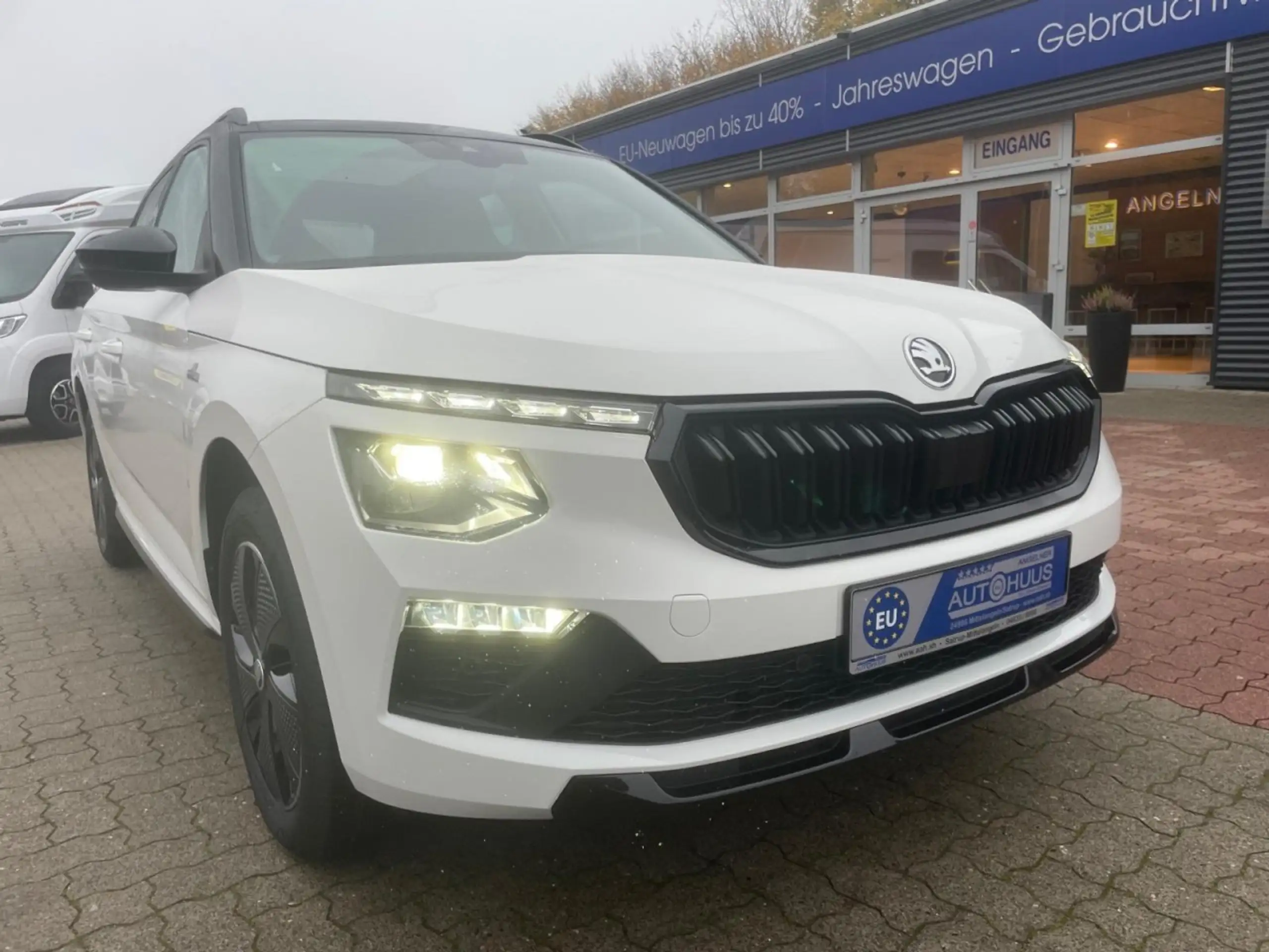 Skoda Kamiq 2020