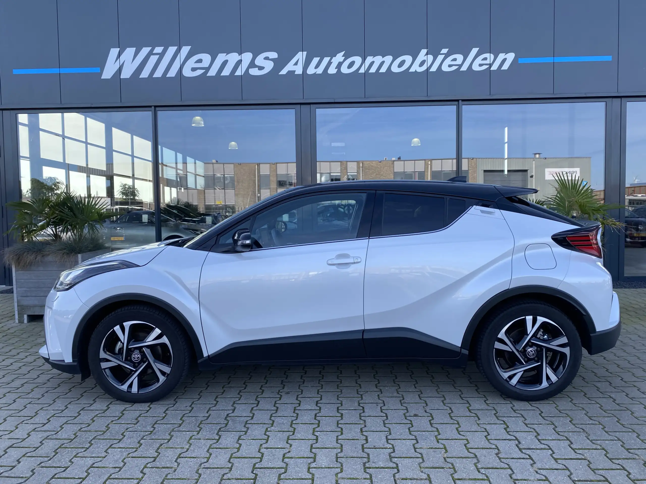 Toyota - C-HR