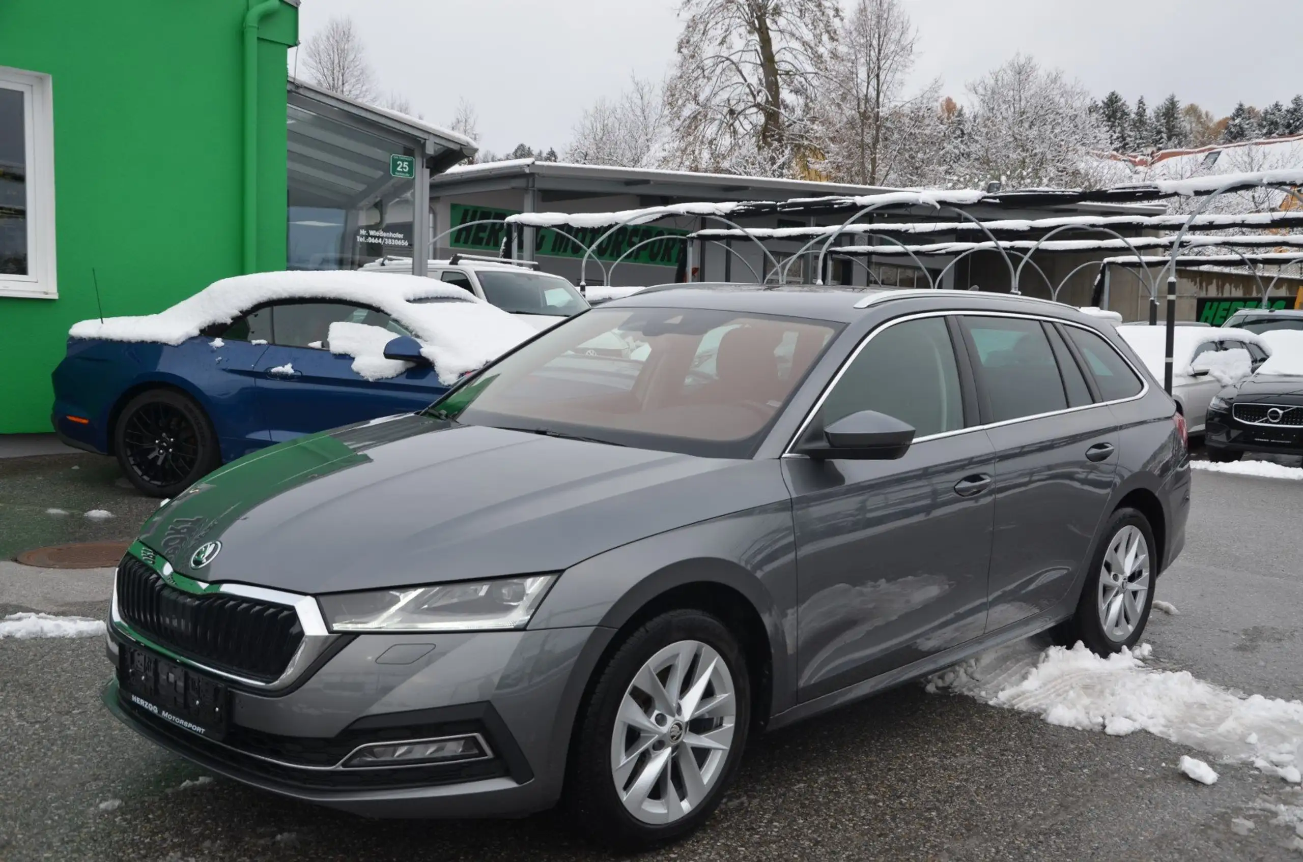 Skoda - Octavia