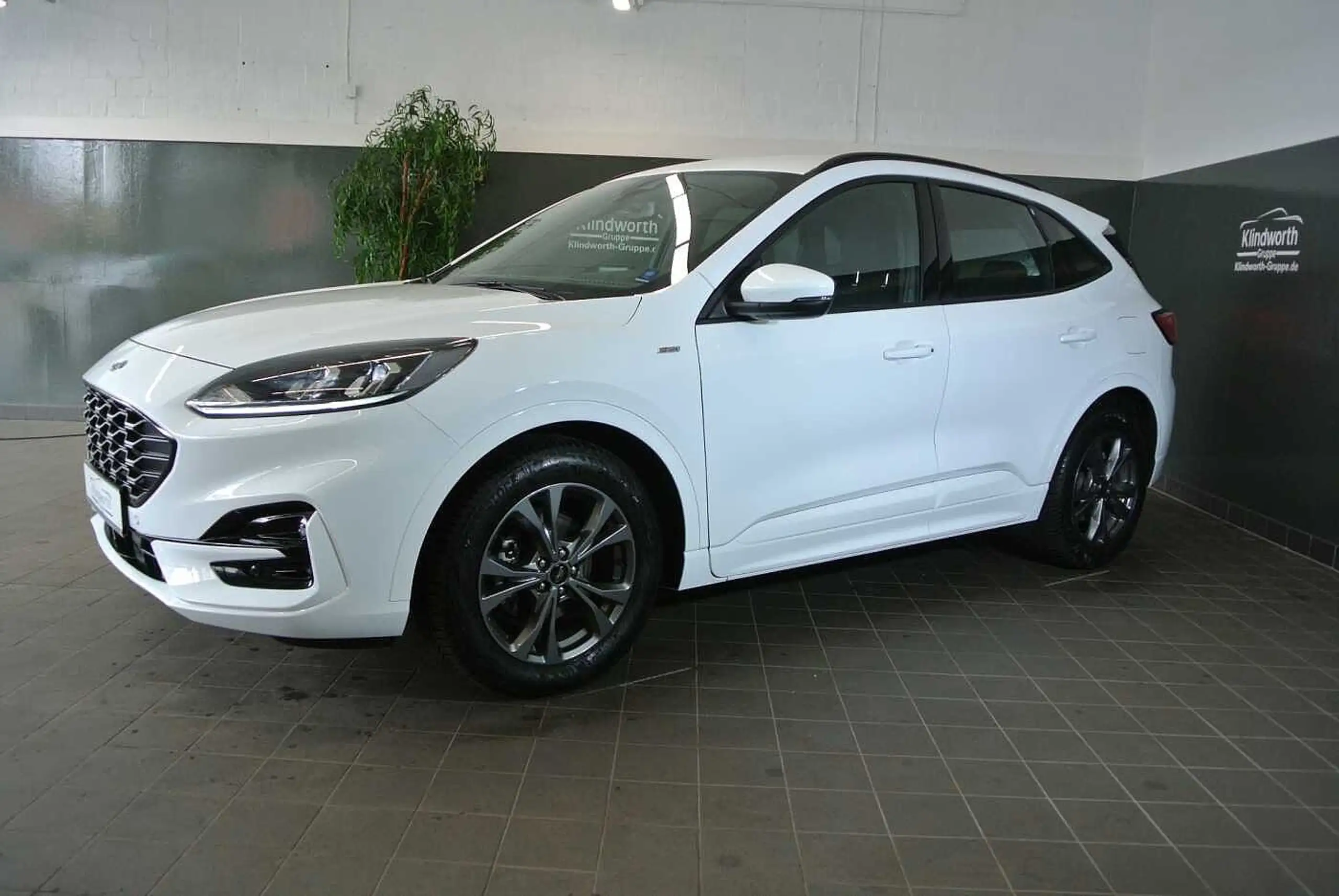 Ford - Kuga