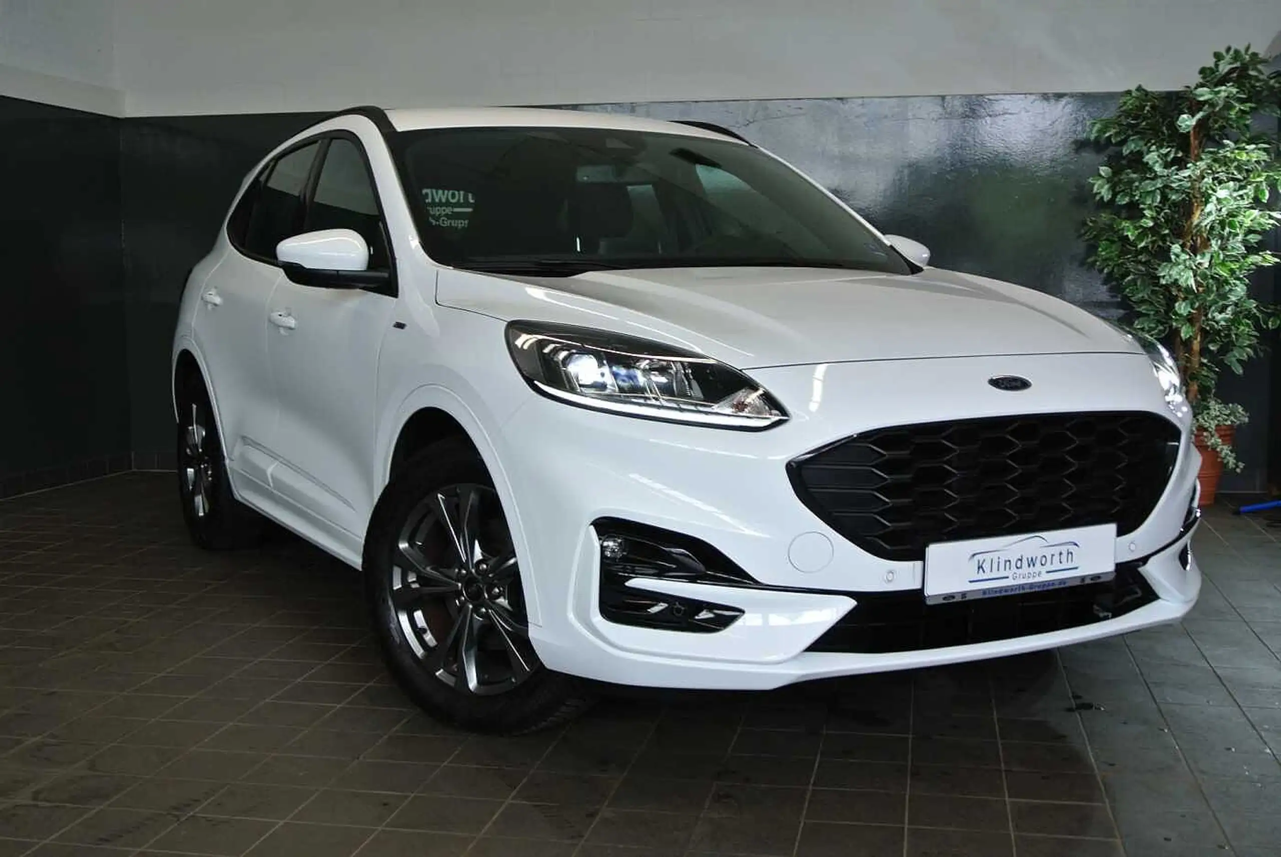 Ford - Kuga