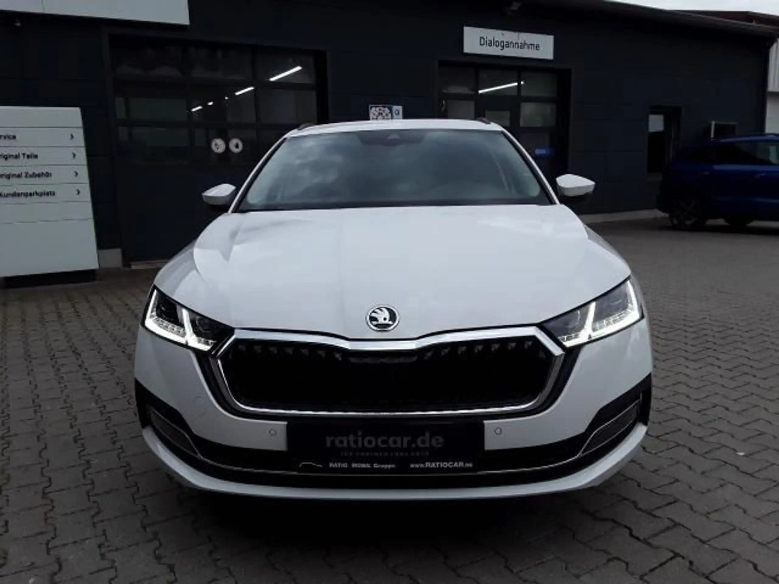 Skoda - Octavia