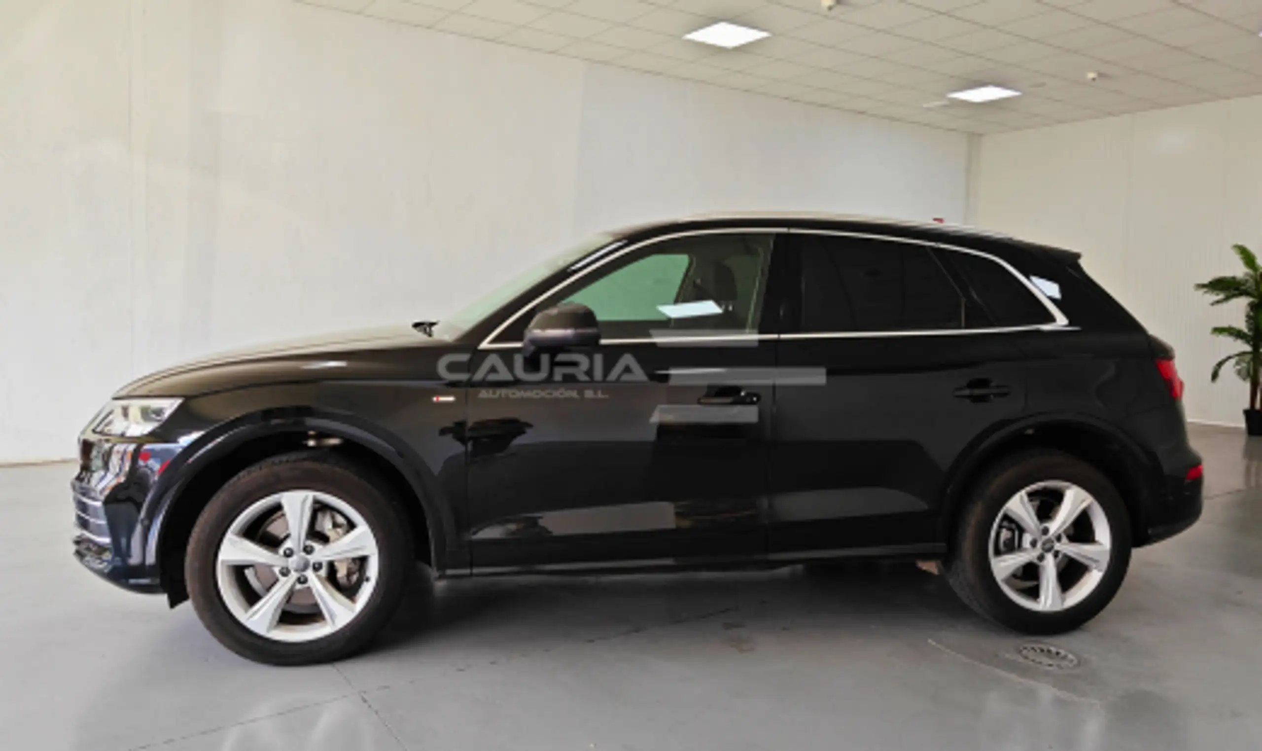 Audi - Q5