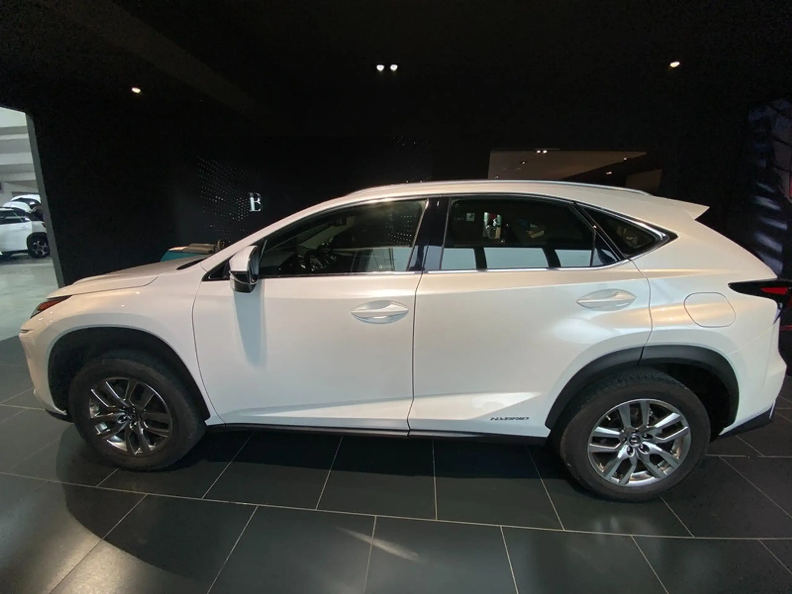 Lexus - NX 300h