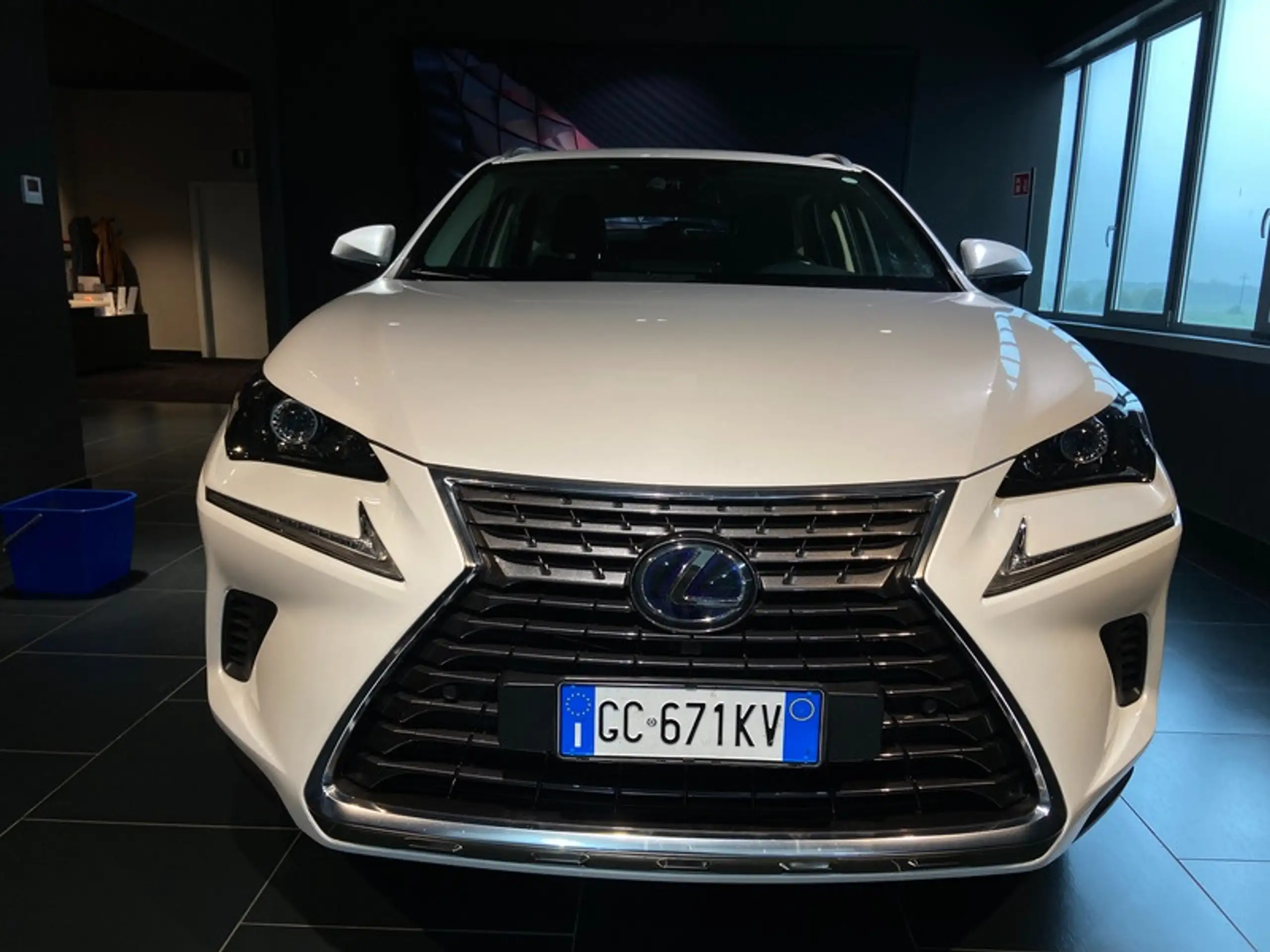 Lexus - NX 300h