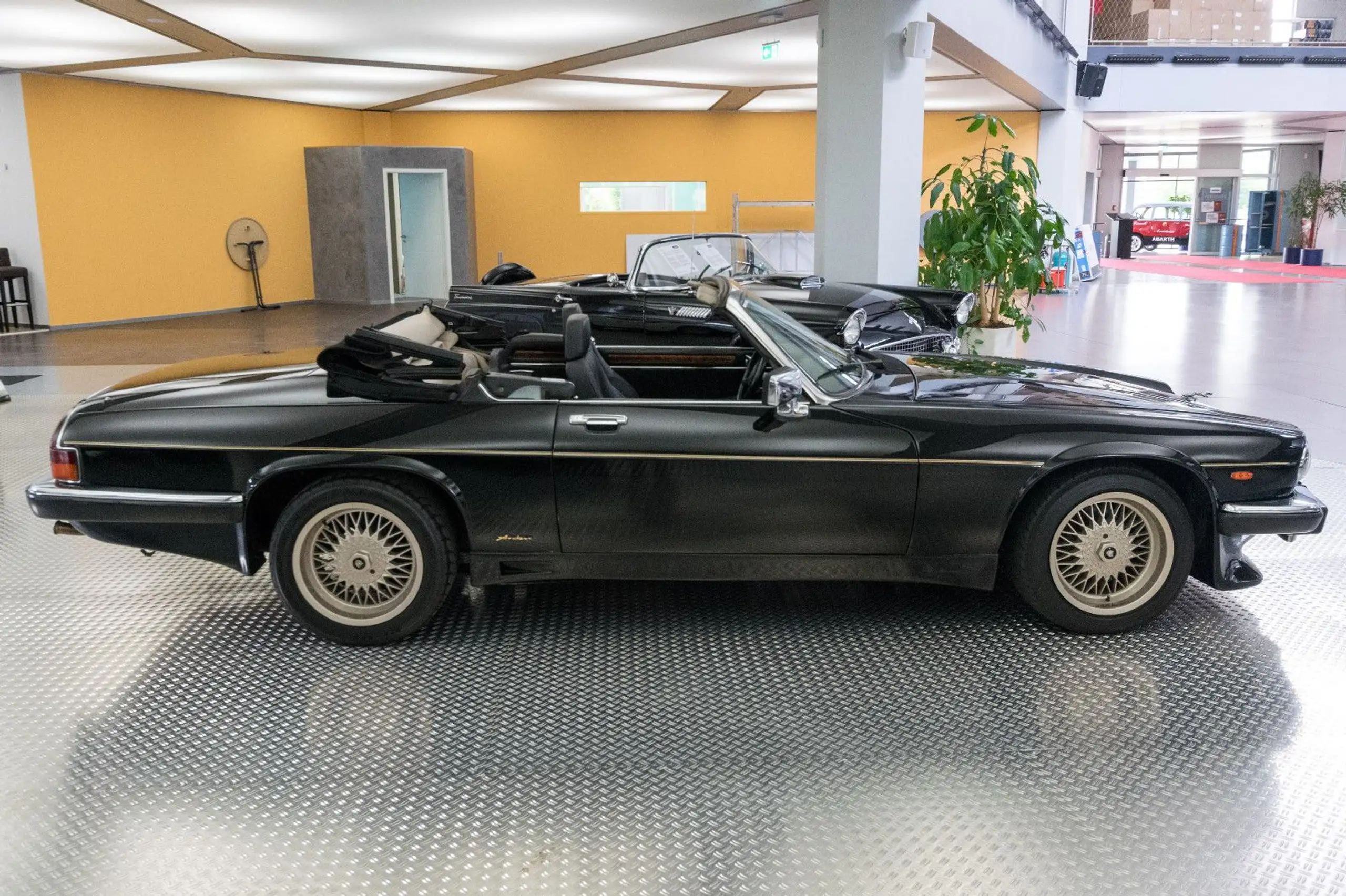 Jaguar - XJS