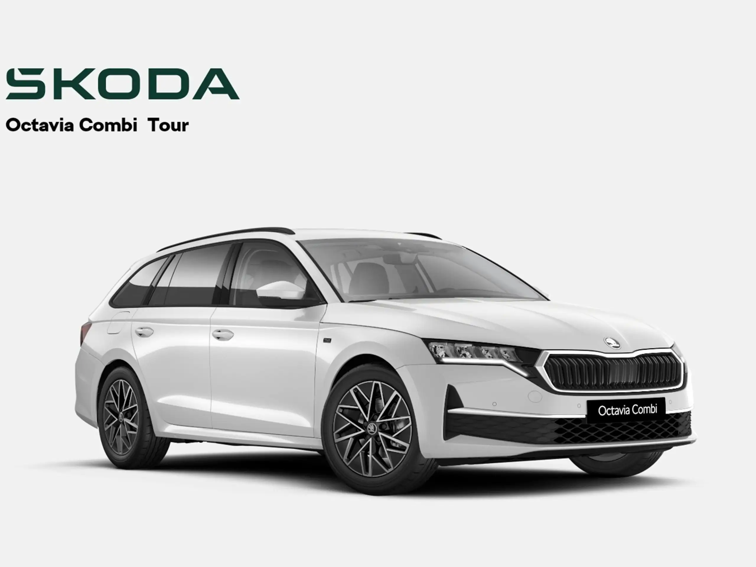 Skoda - Octavia