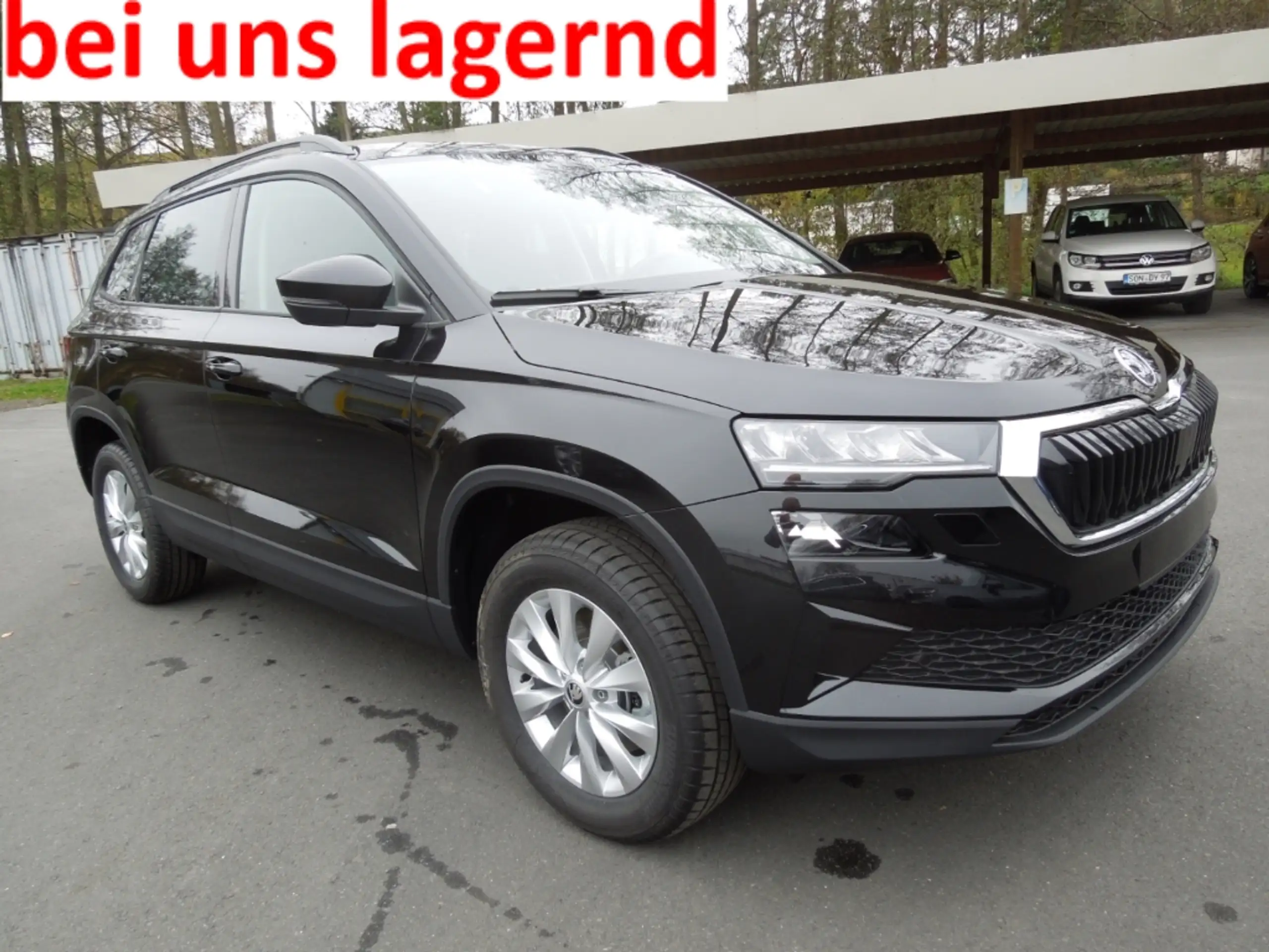 Skoda - Karoq