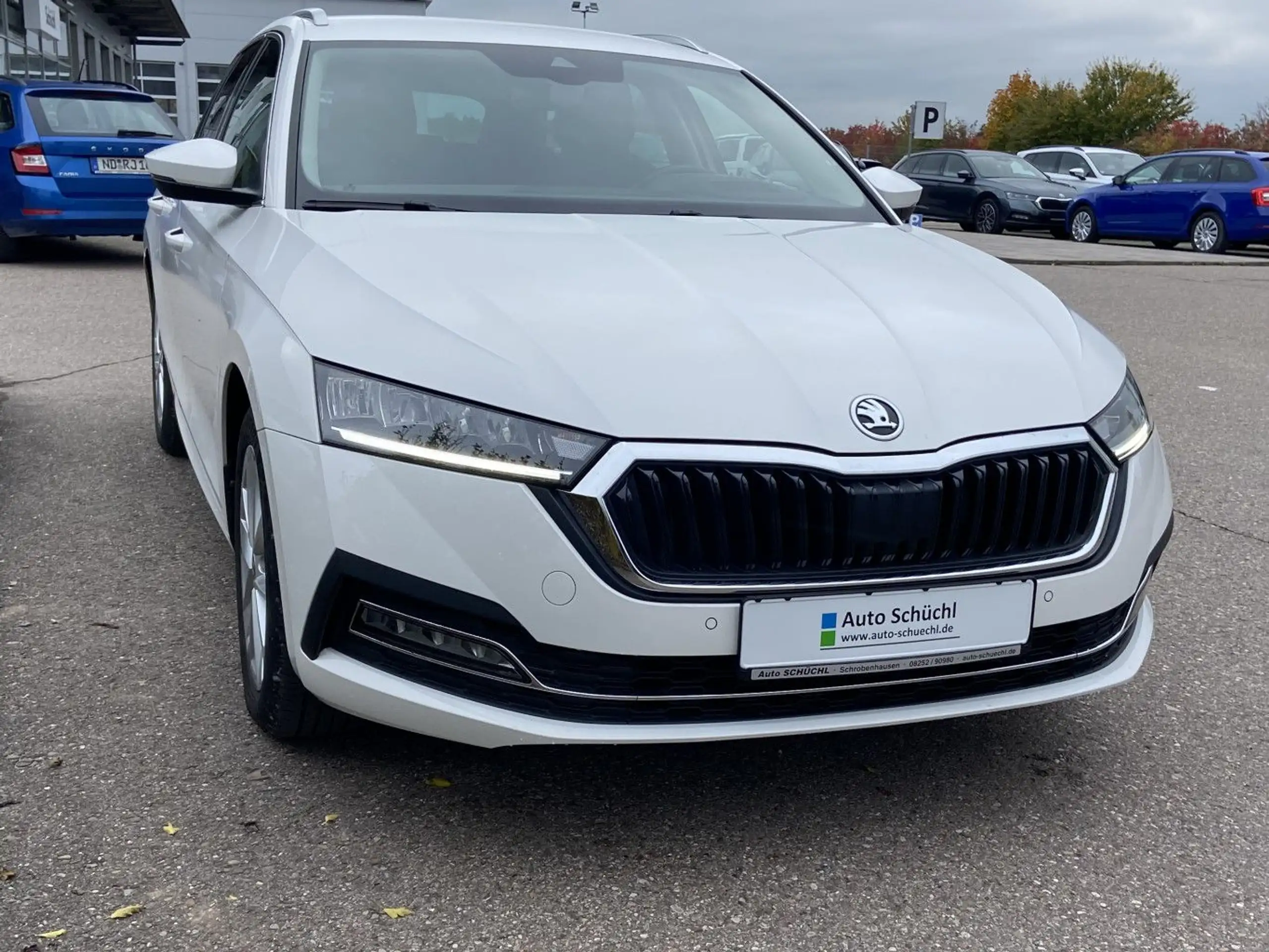 Skoda - Octavia